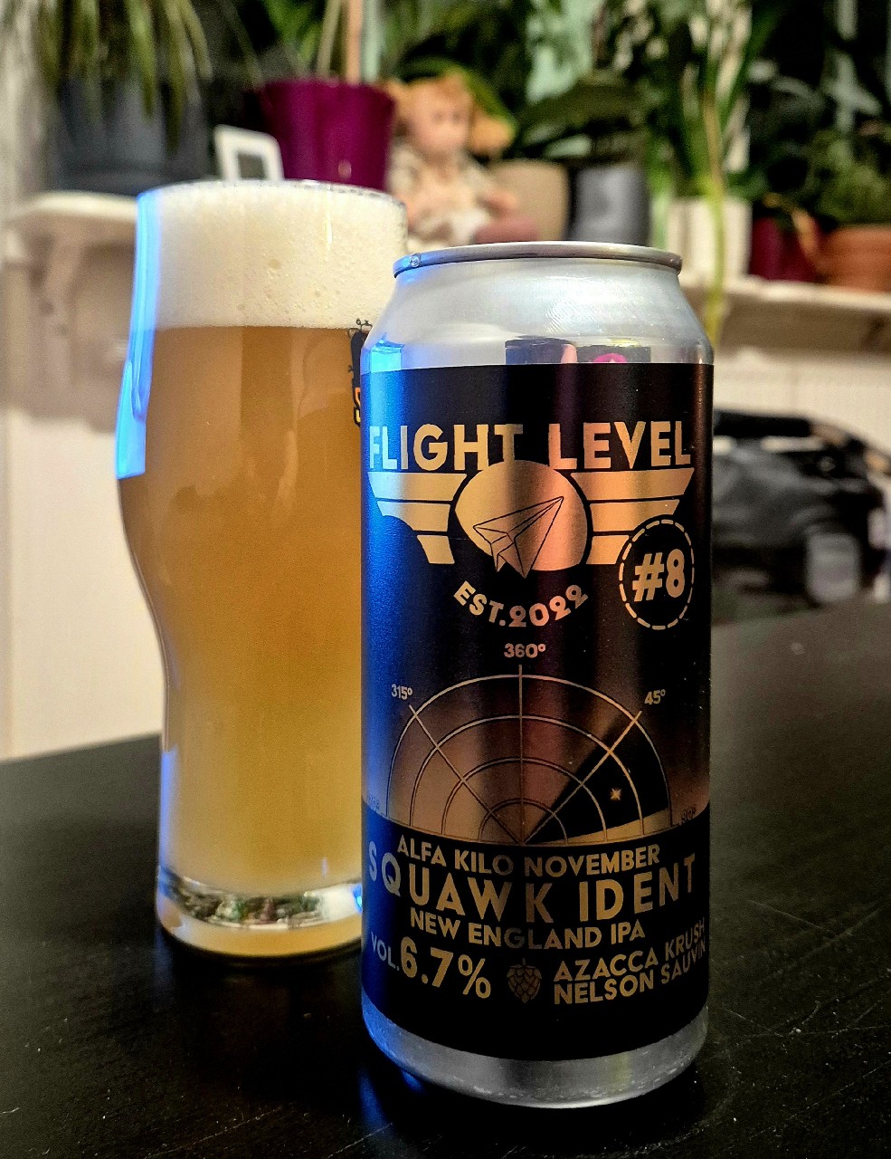 Alfa Kilo November Squawk Ident #8, Finland