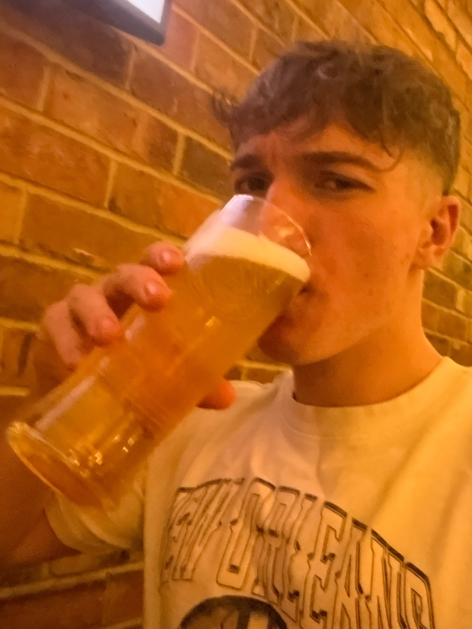 Budweiser, Anheuser-Busch InBev