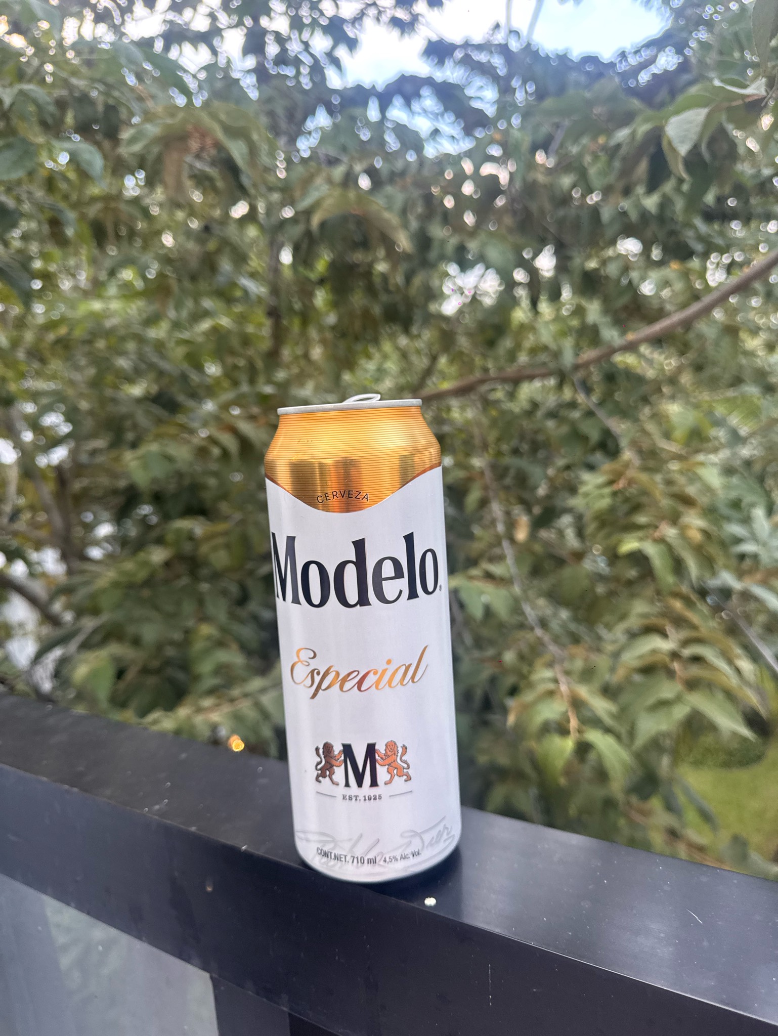 Modelo Especial, Mexico