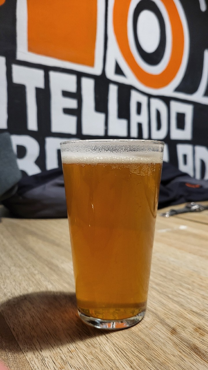 harvest, Cerveza Artesanal Tyris