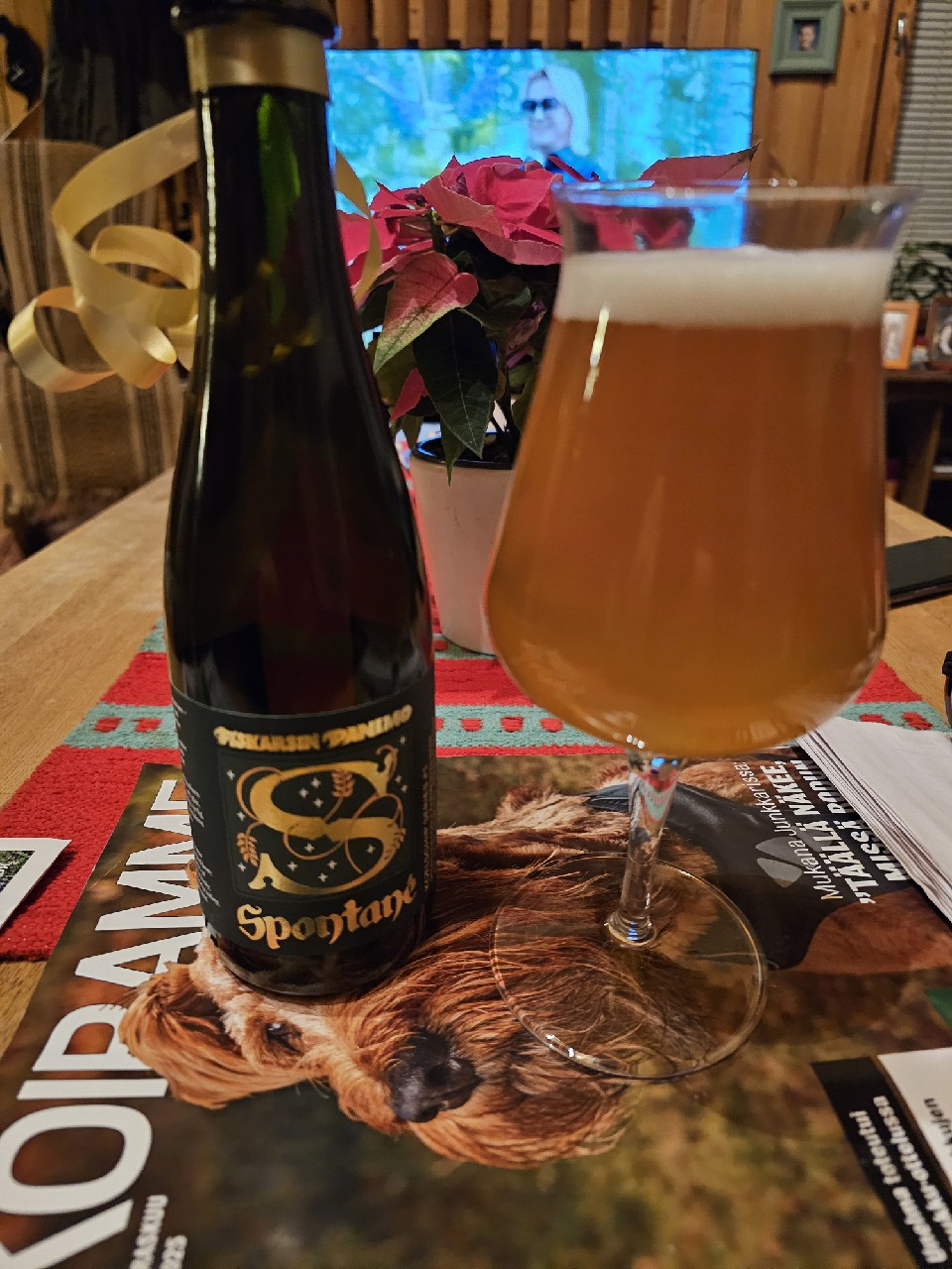 Spontané – Koelschip Series #1, Fiskarsin Panimo