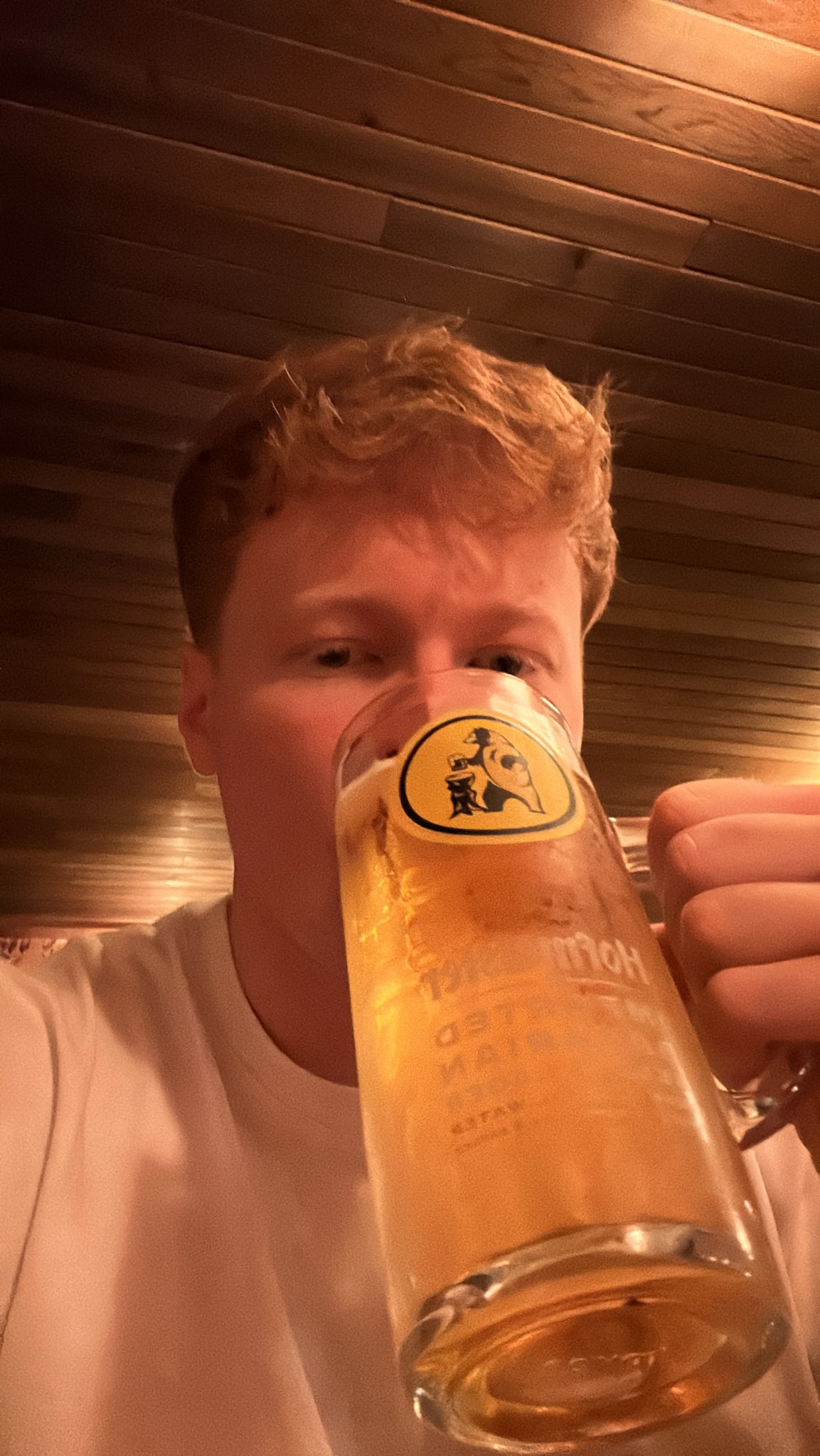 Hofmeister Helles, United Kingdom