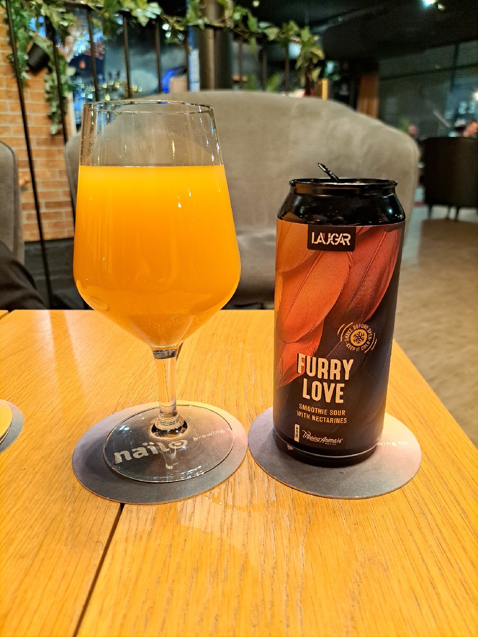 Furry love, Laugar Brewery