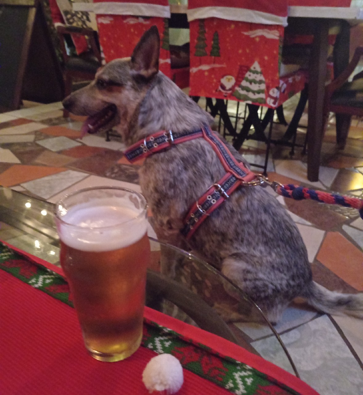 V13 Fruitbeer Durazno, v13