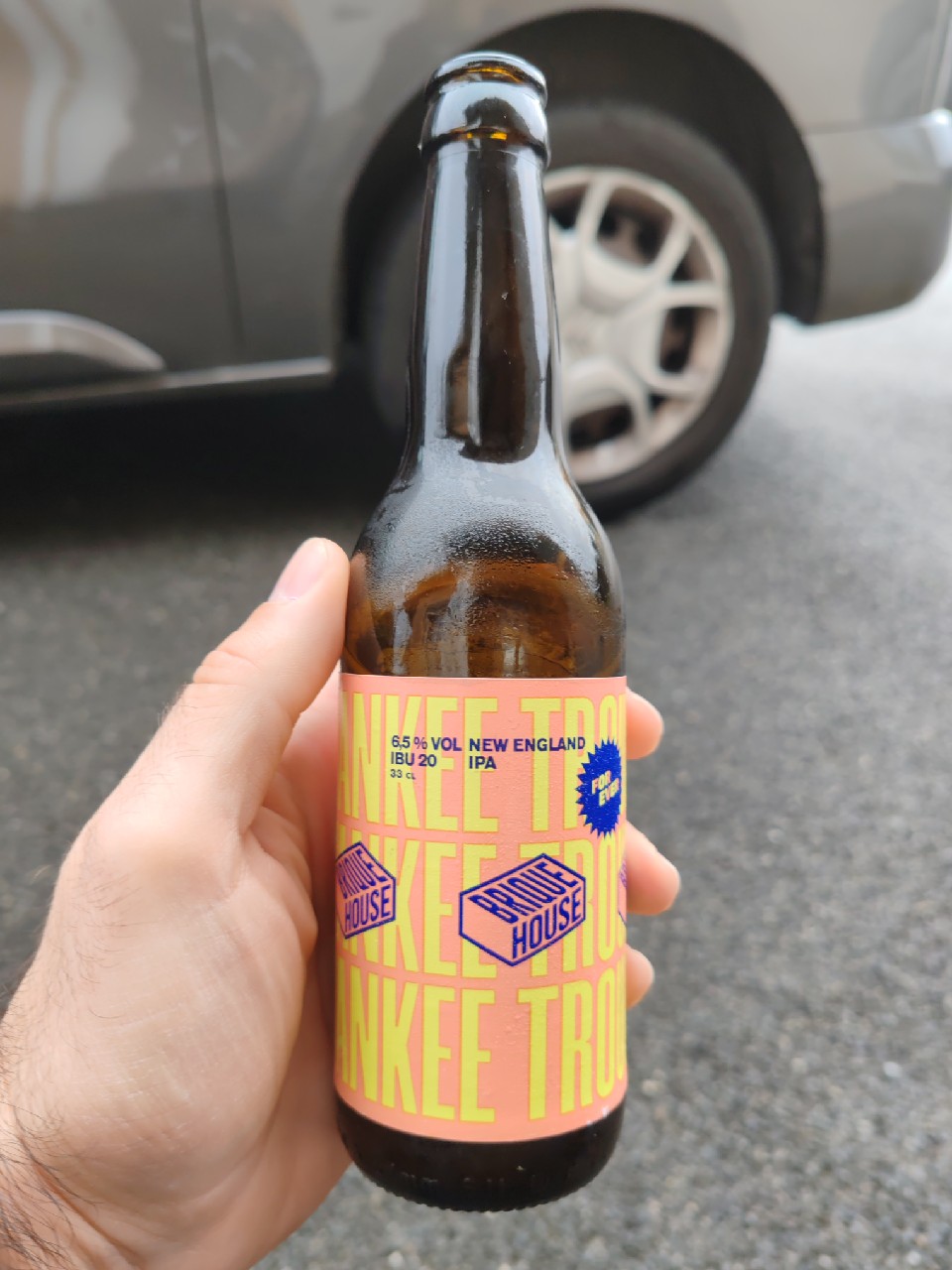 Yankee Trouble, France