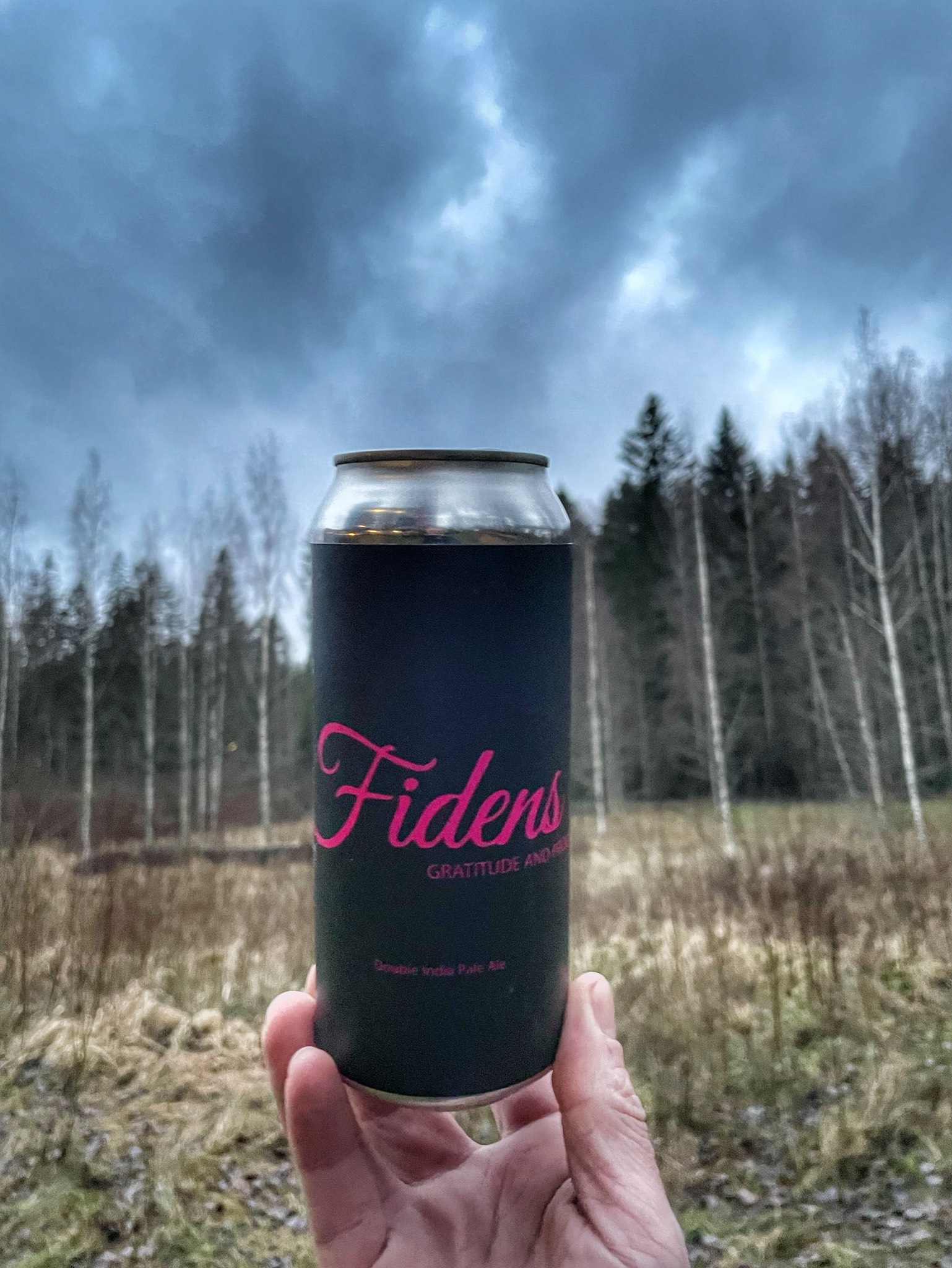 Gratitude & Progress, Fidens Brewing Co.