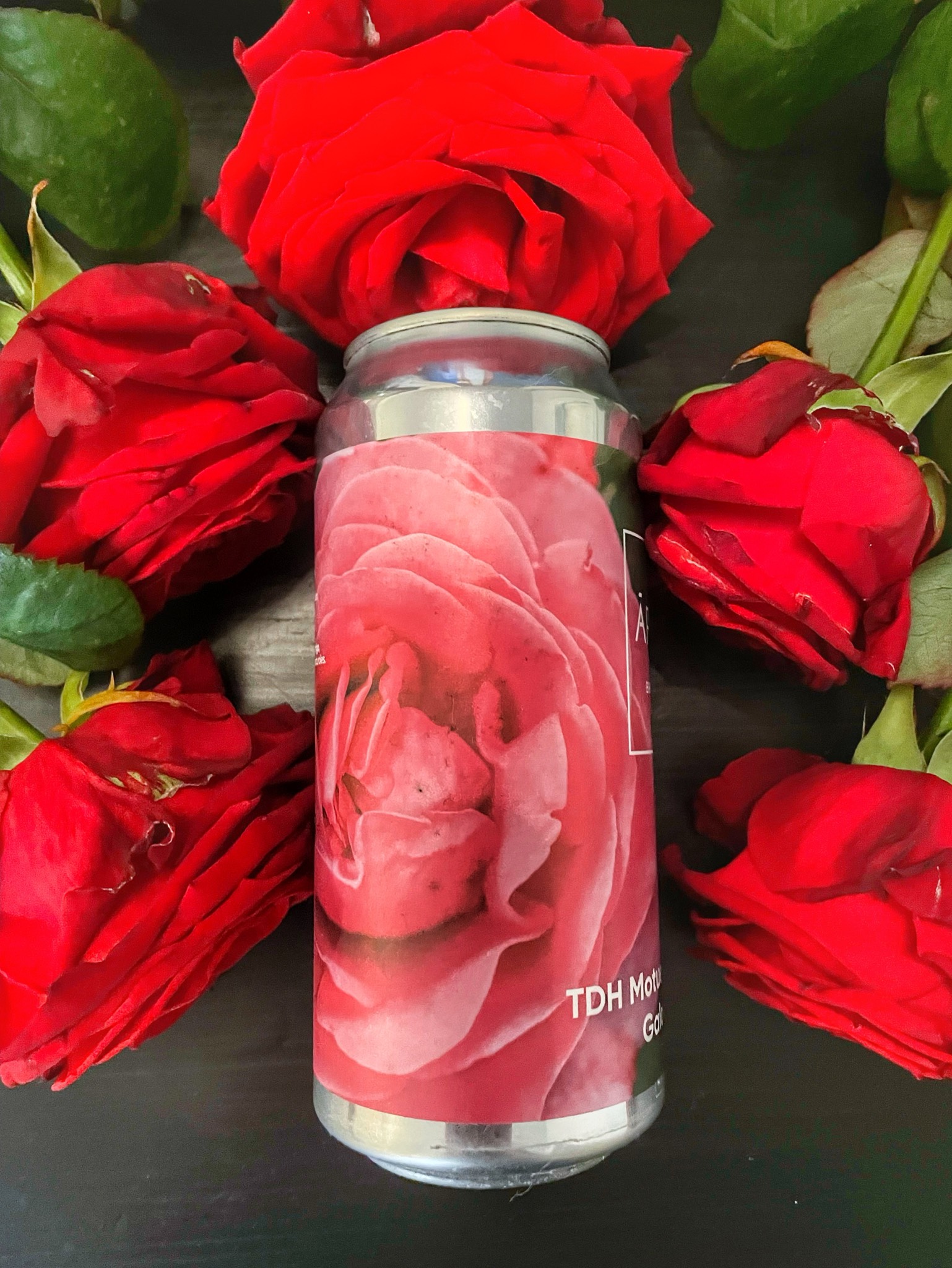 TDH Motueka X Riwaka X Galaxy DIPA, Latvia