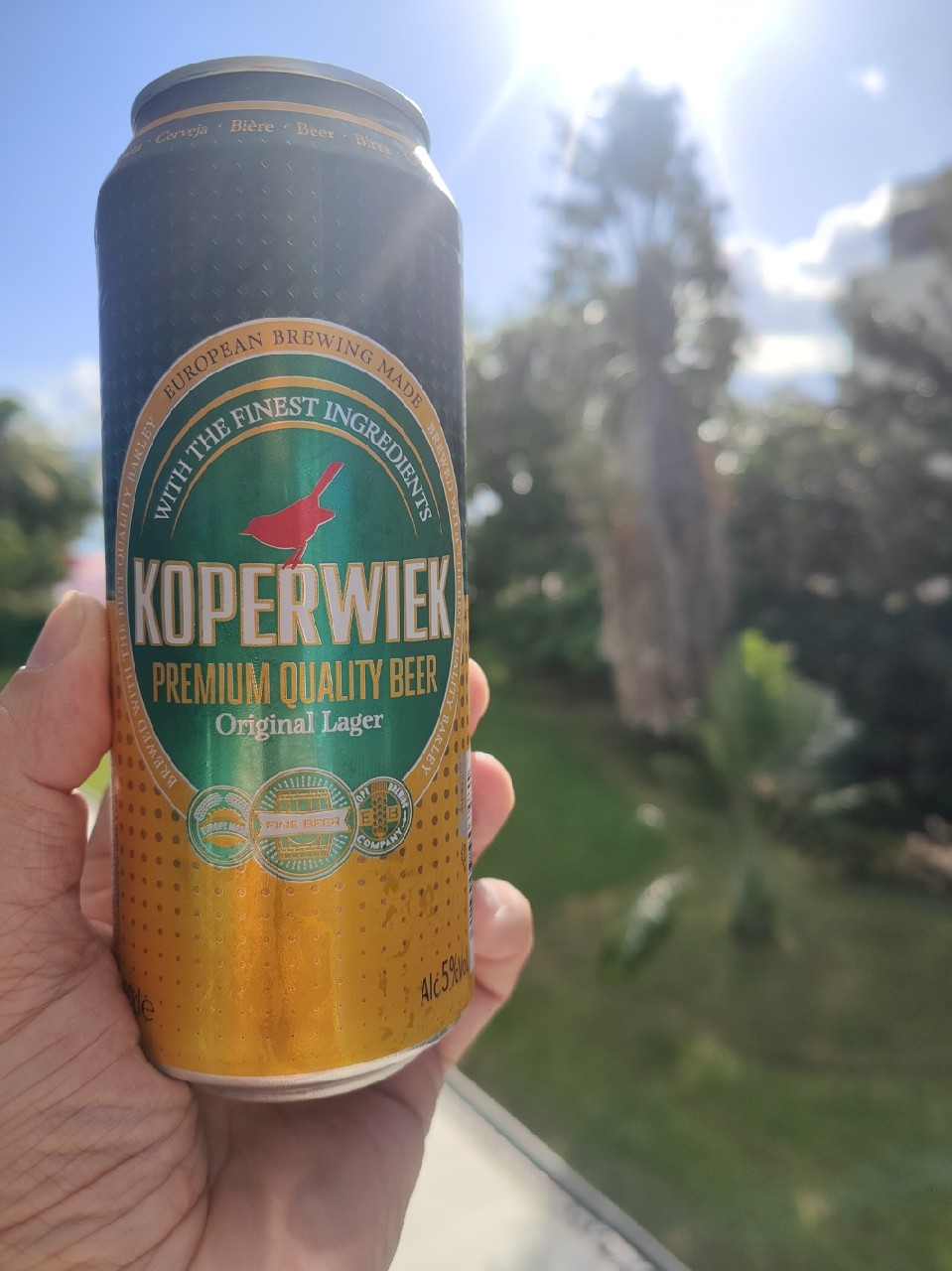 Koperwiek Premium Quality, Font Salem (Damm)