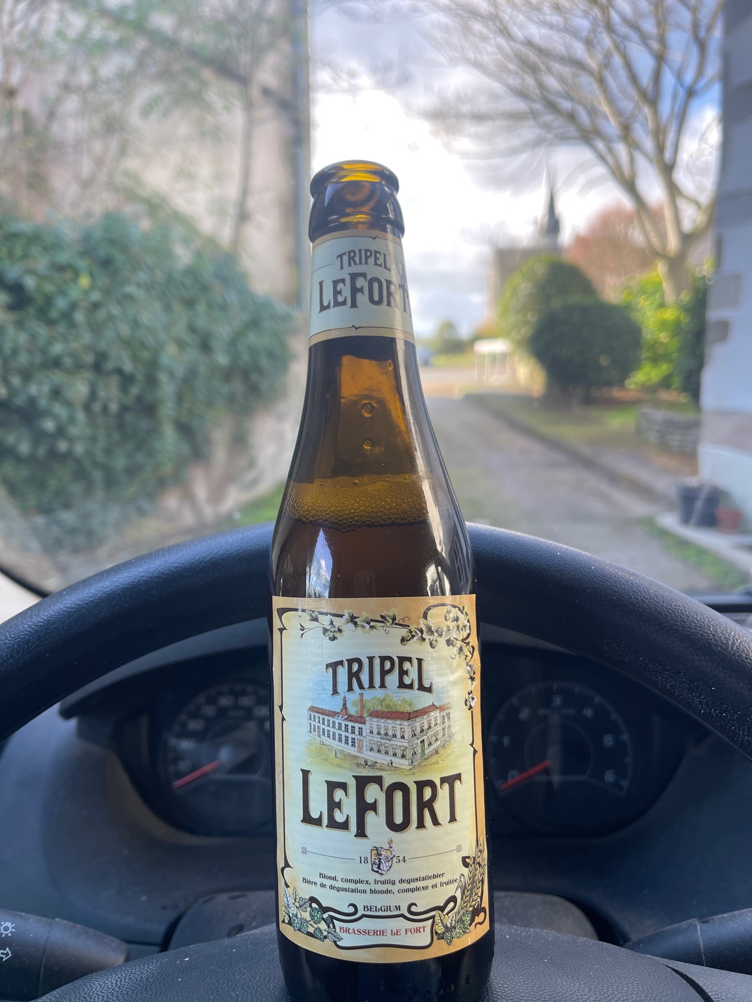 Tripel LeFort, Belgium