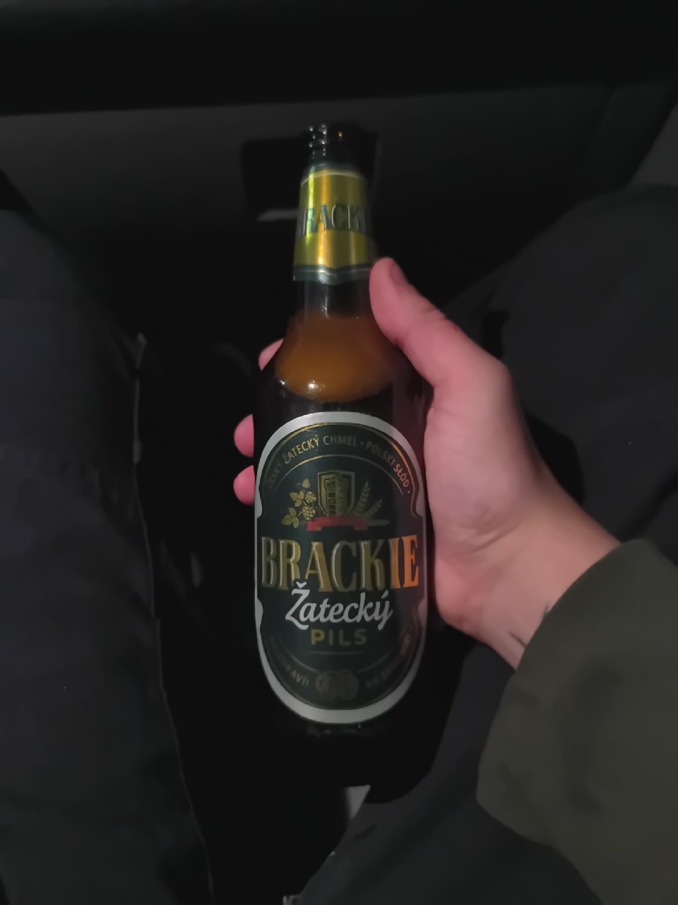 Brackie Žatecký, Poland