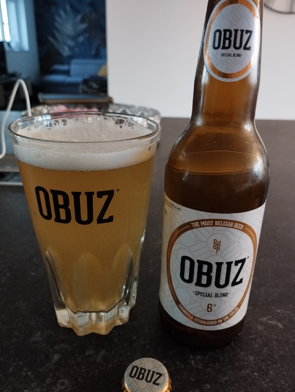 obuz, Waterfields Brewery