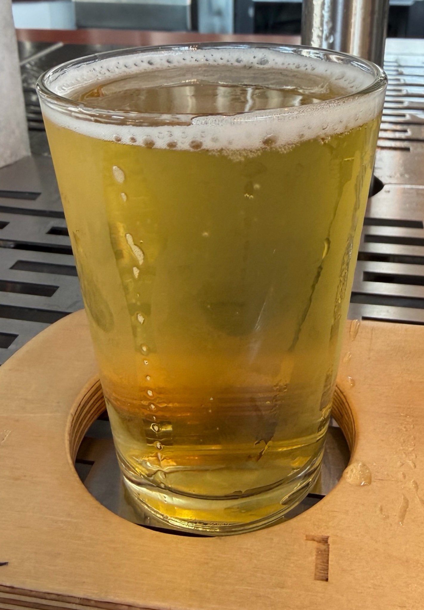 shelter lager, Shelter