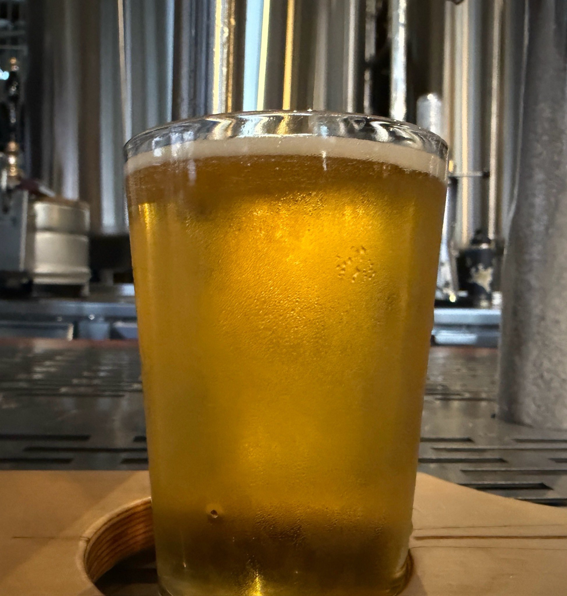 extra pale ale, Shelter