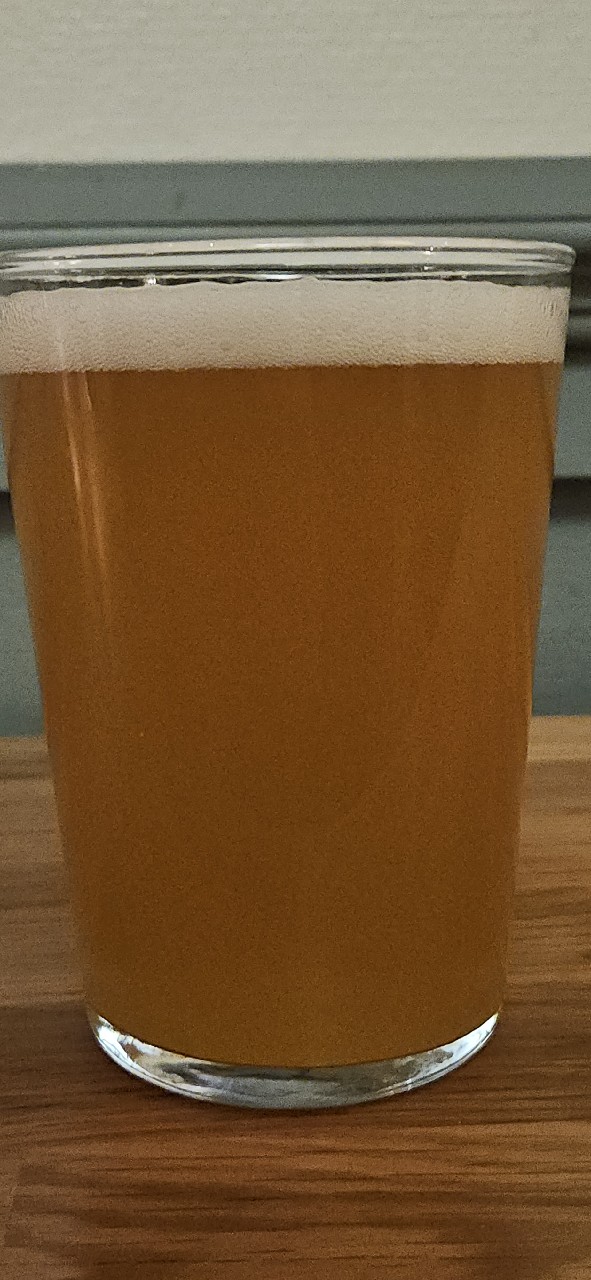 DIPA DDH Citra Hyperboost / Mosaic Dynaboost / Nelson Sauvin (X Messorem), France