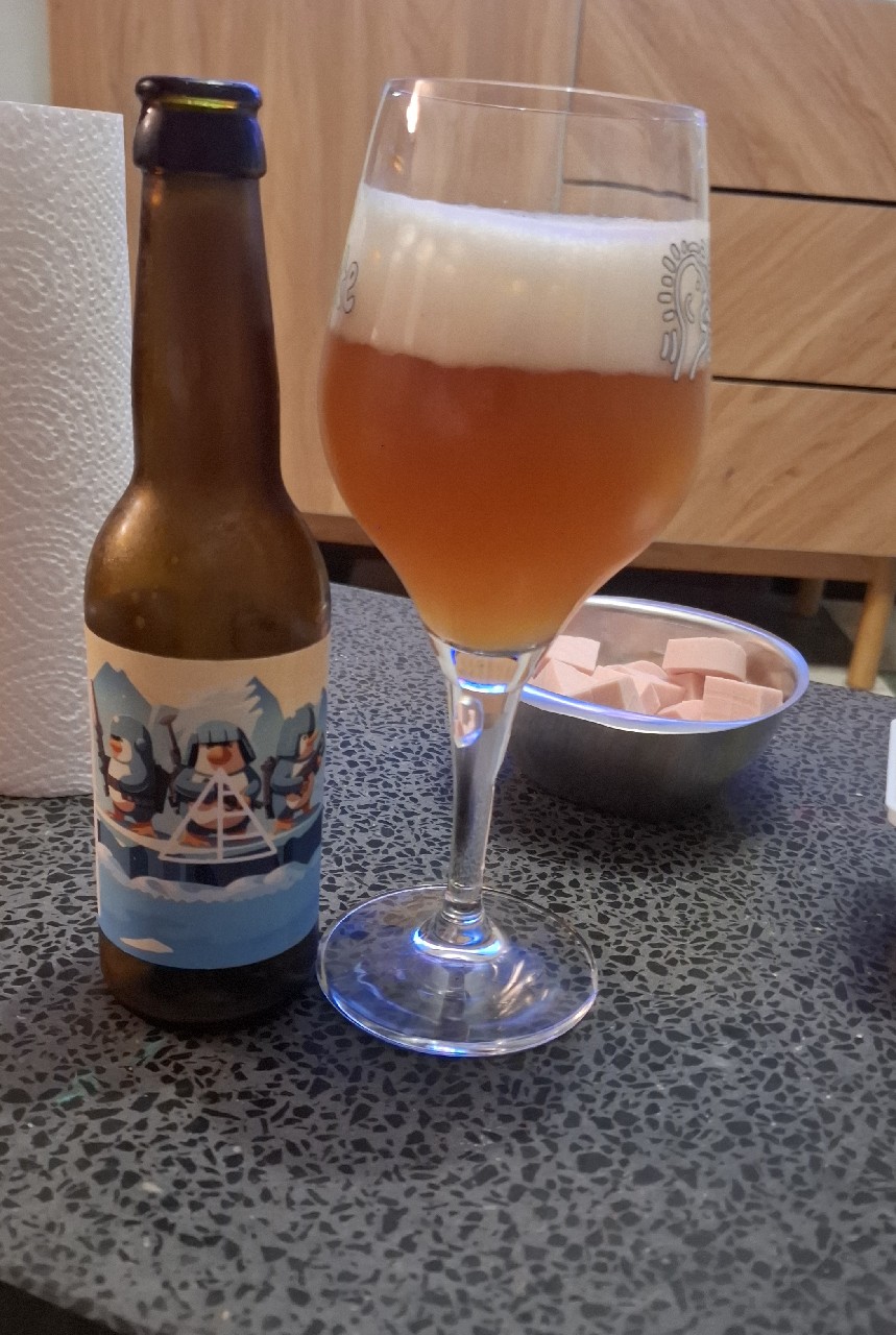 Banquise Attack, France