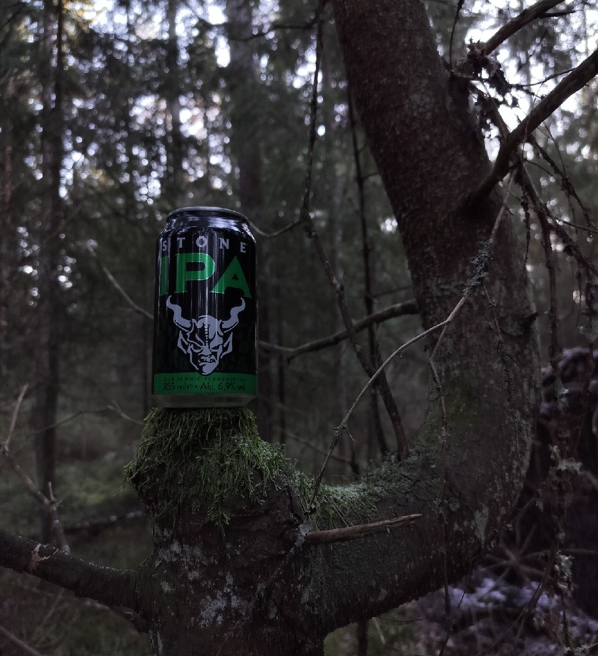 Stone IPA, United States