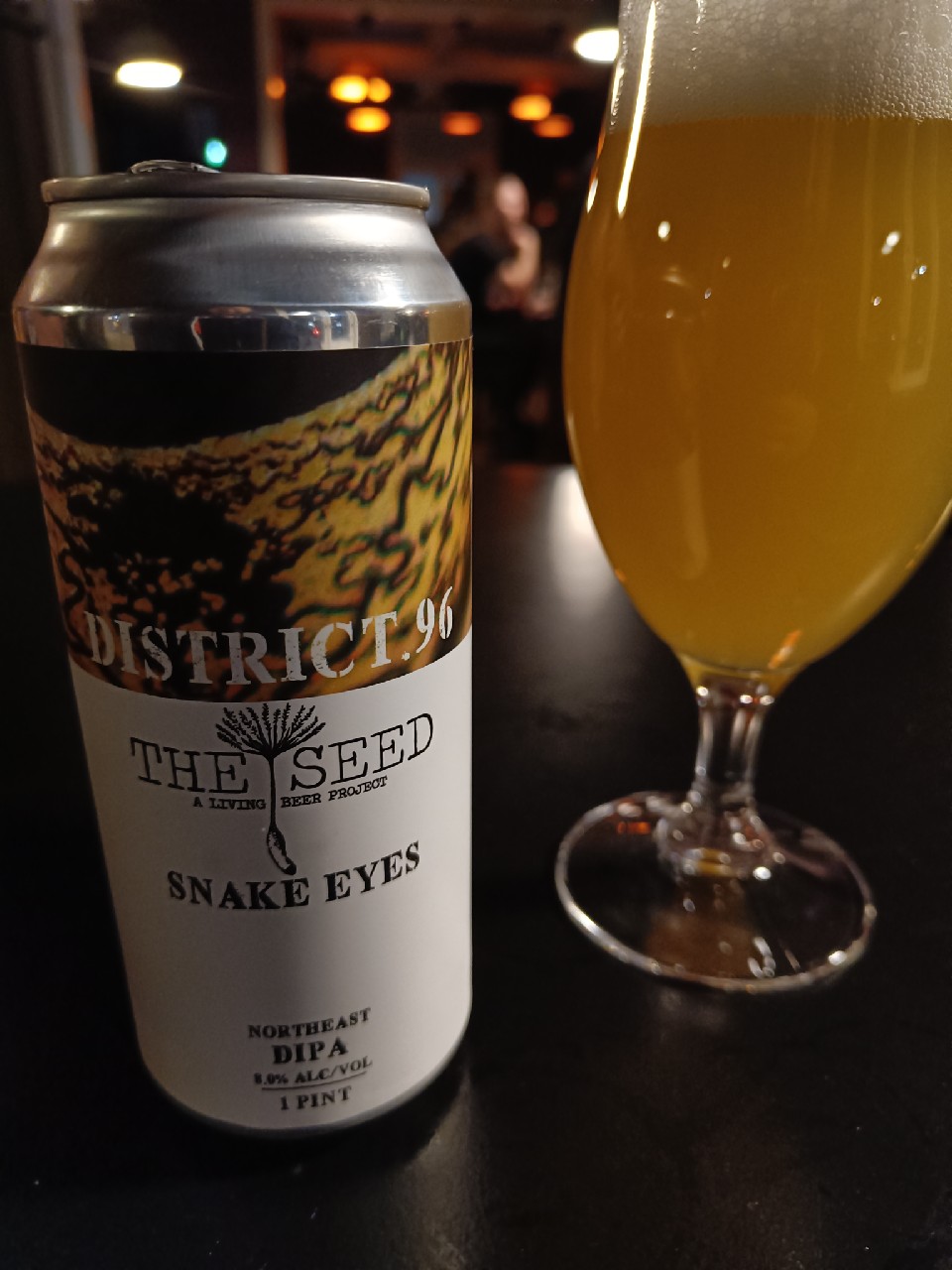 Snake Eyes, District 96 Beer Factory