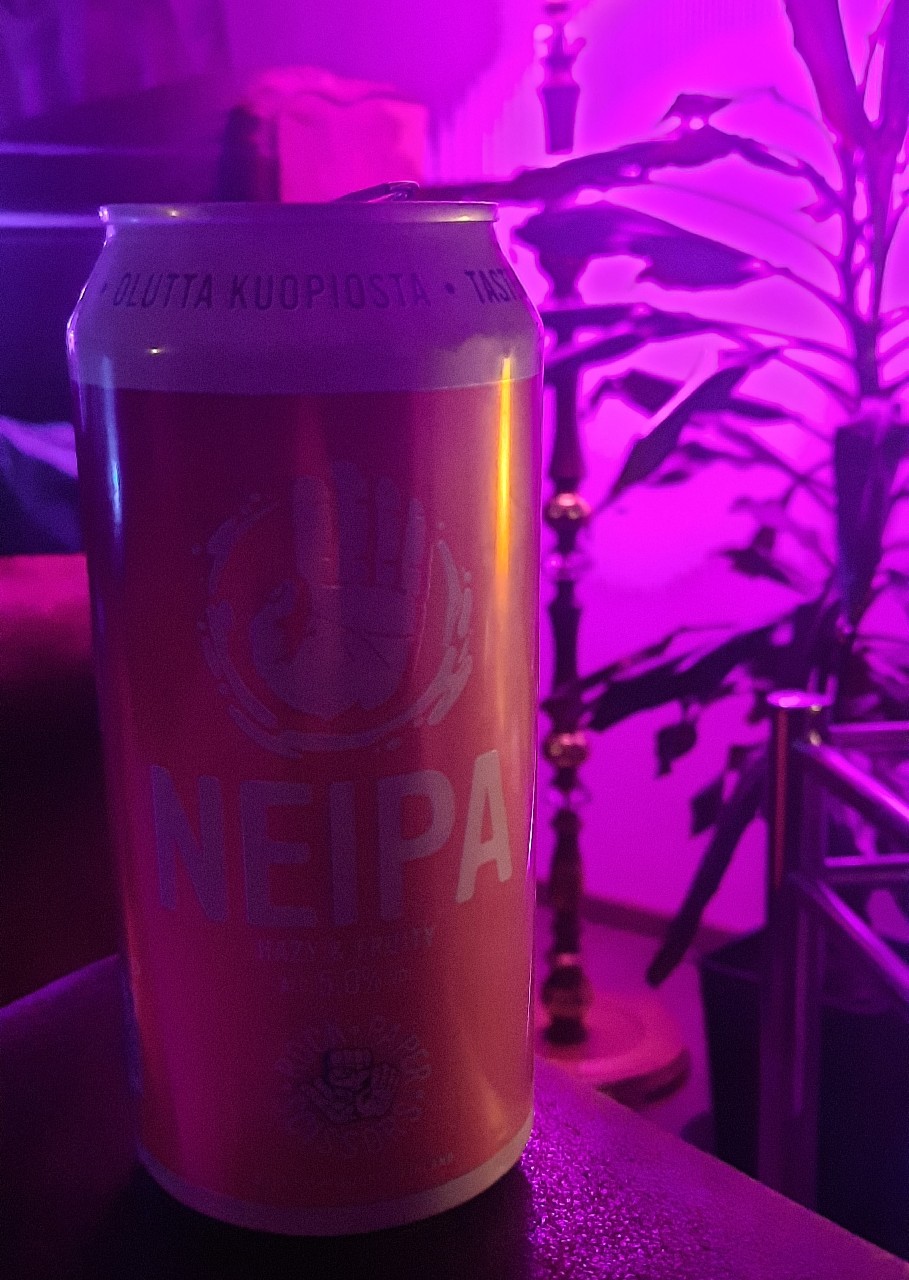 Paper NEIPA, Finland