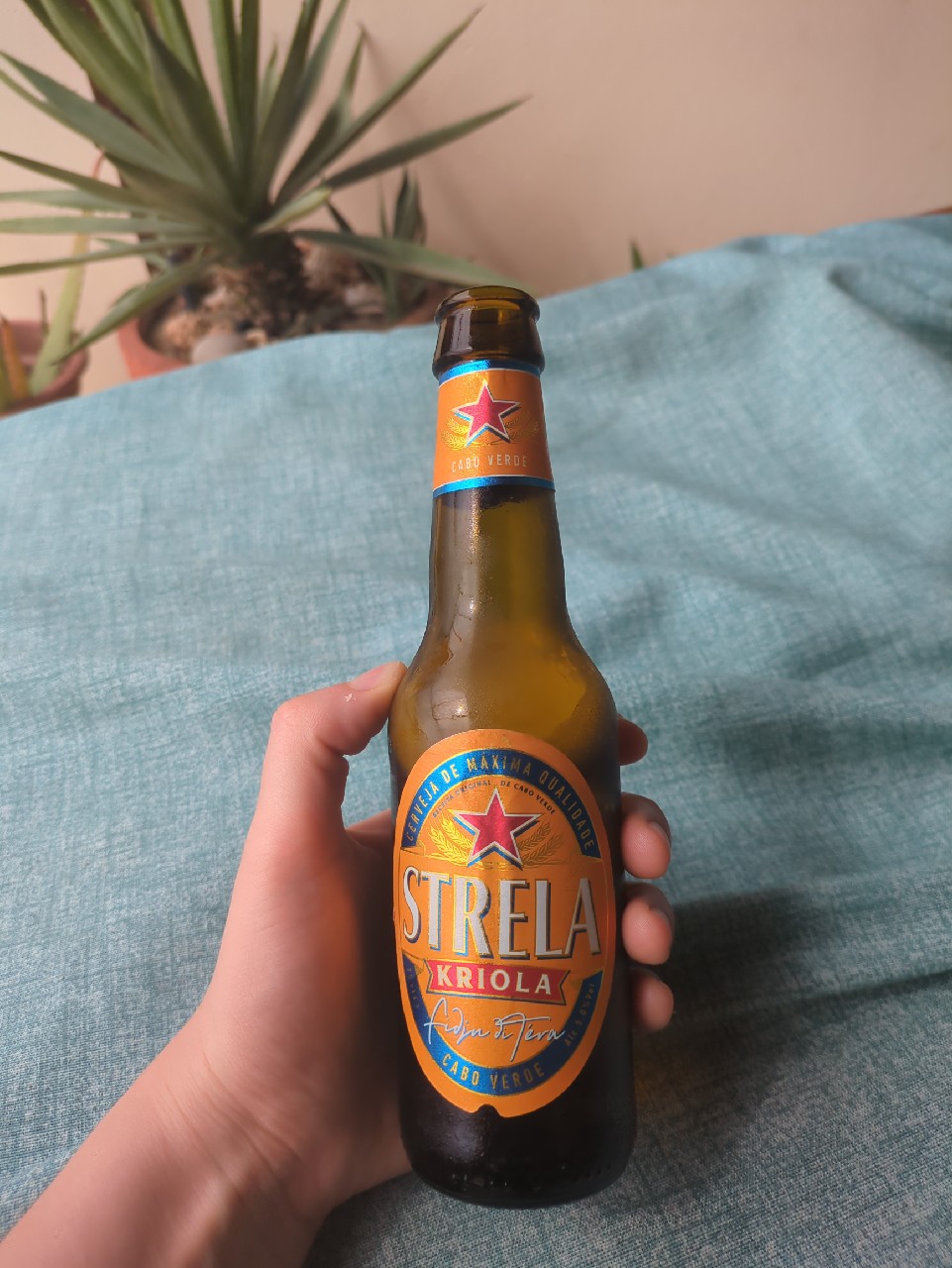 Strela Kriola, CERIS - Sociedade Caboverdiana de Cerveja e Refrigerantes S.A.R.