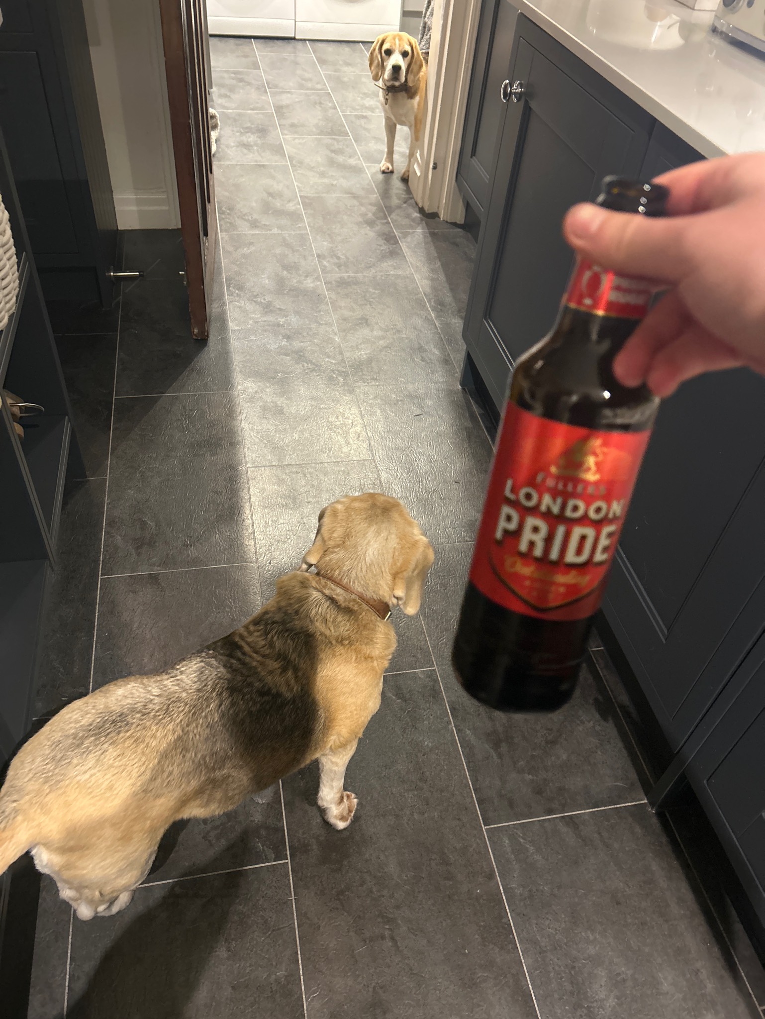 London Pride, Fuller's Griffin Brewery (Asahi Breweries)