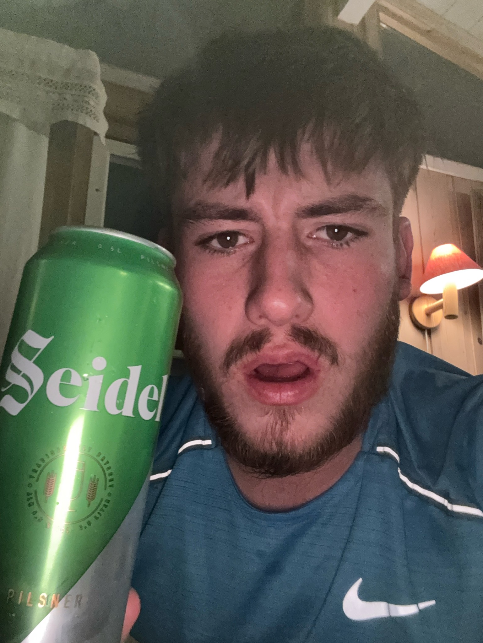 Seidel, Aass Bryggeri