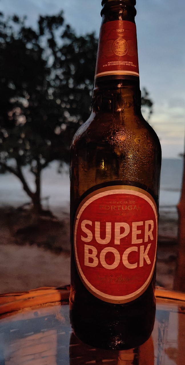 Super Bock, Super Bock Group