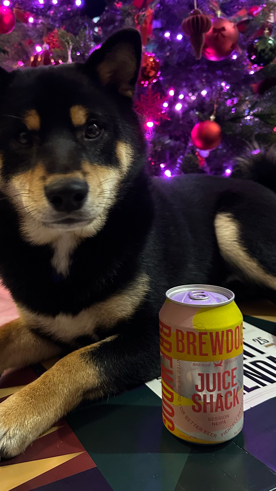 Juice Shack Tropical Milkshake IPA, Scotland