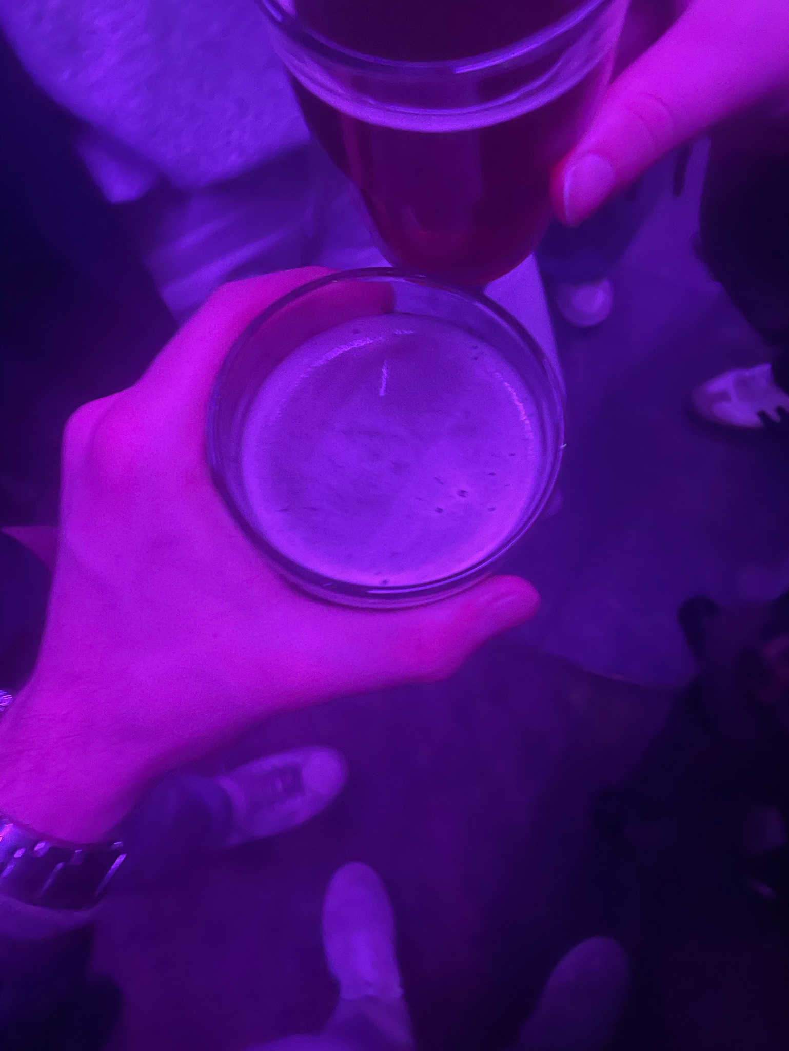 Moulins D'Ascq Blonde, France