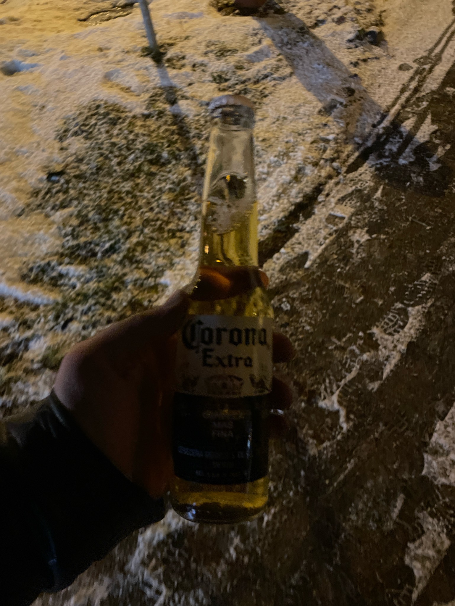 Corona Extra, Grupo Modelo (ABInBev)