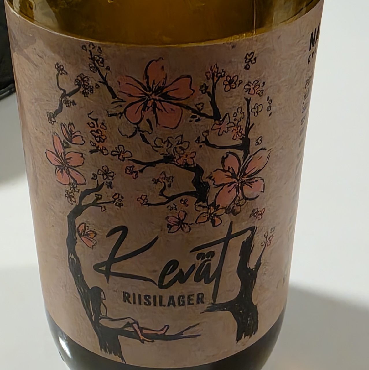 kevät riisilager, Narvan Kyläpanimo