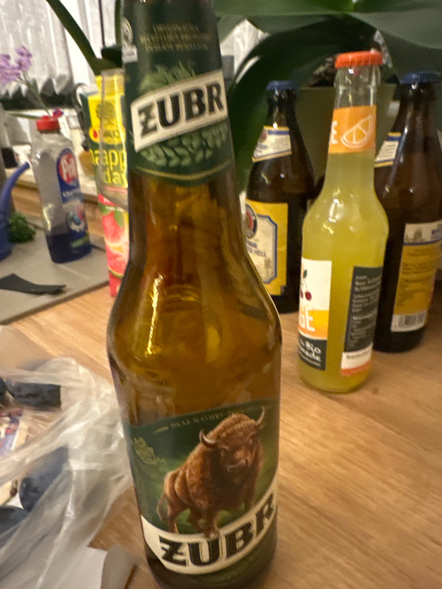 Zubr / Żubr, Poland