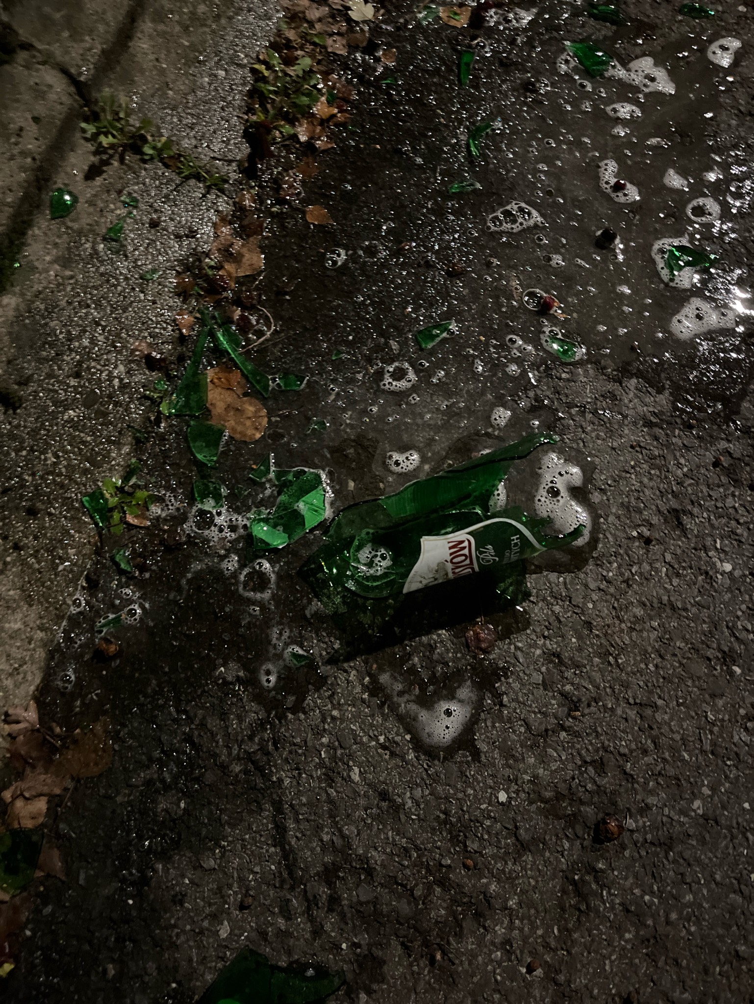 Namysłów Pils, Browar Namysłów (Grupa Żywiec)