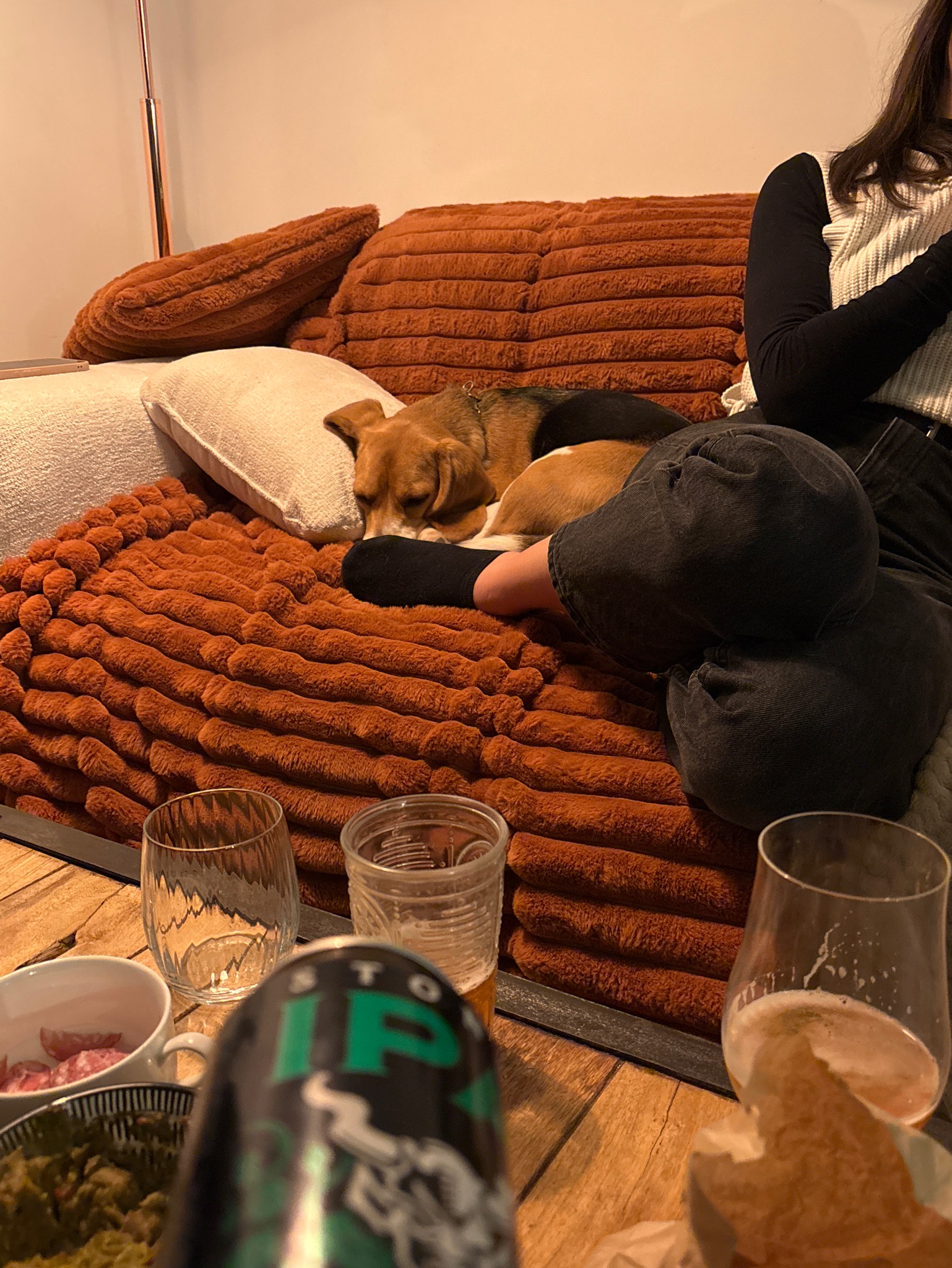 Stone IPA, Stone Brewing (Sapporo Breweries)