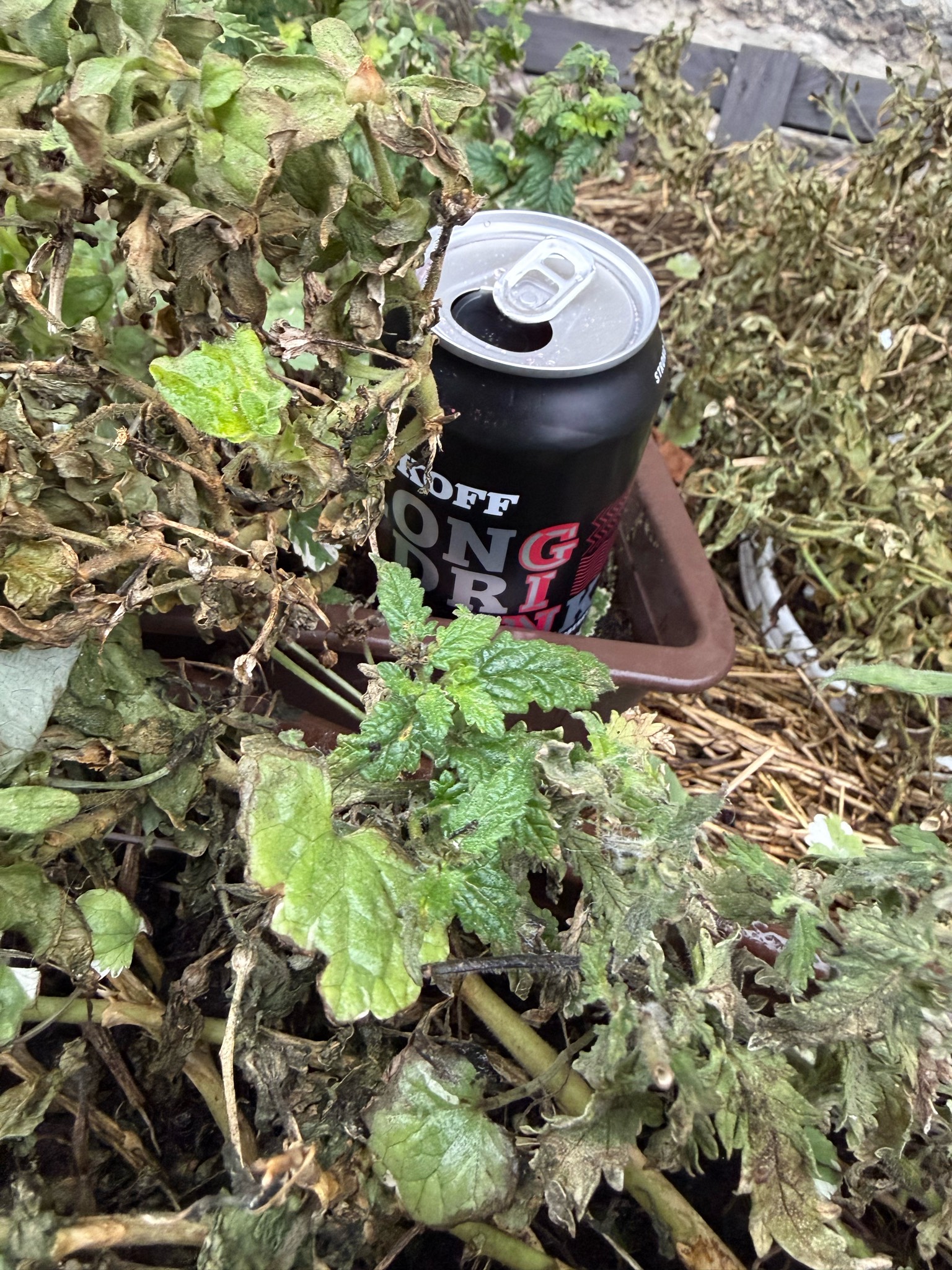Koff Long Drink Strong Raspberry, Finland