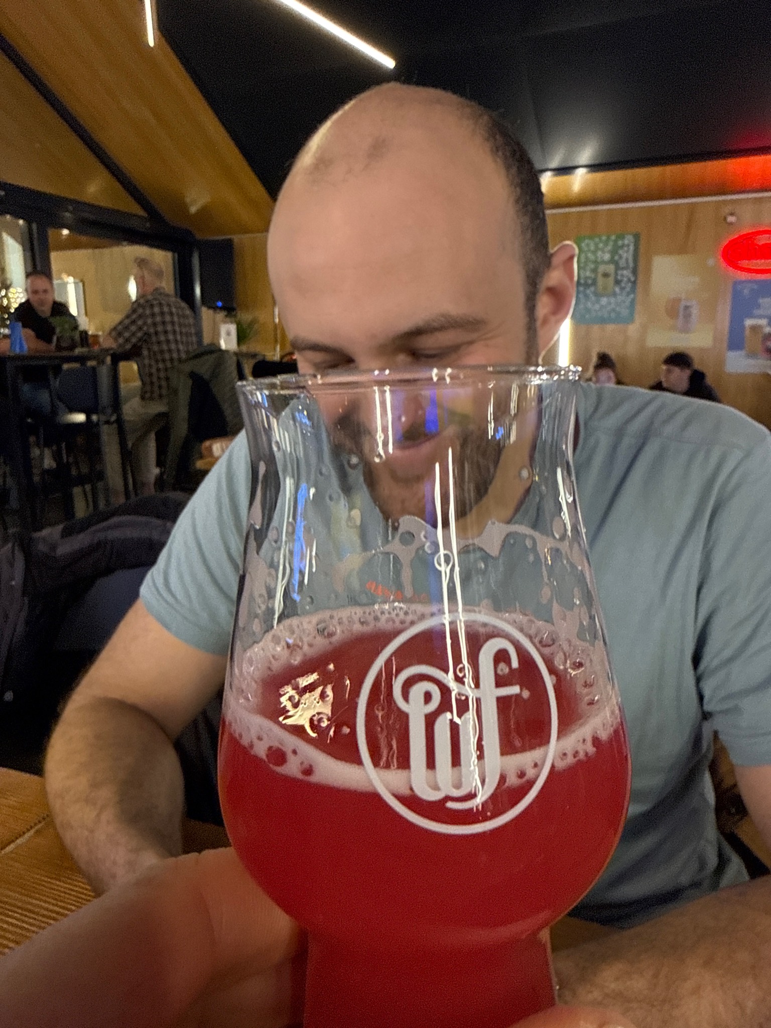 Flamingo, Switzerland