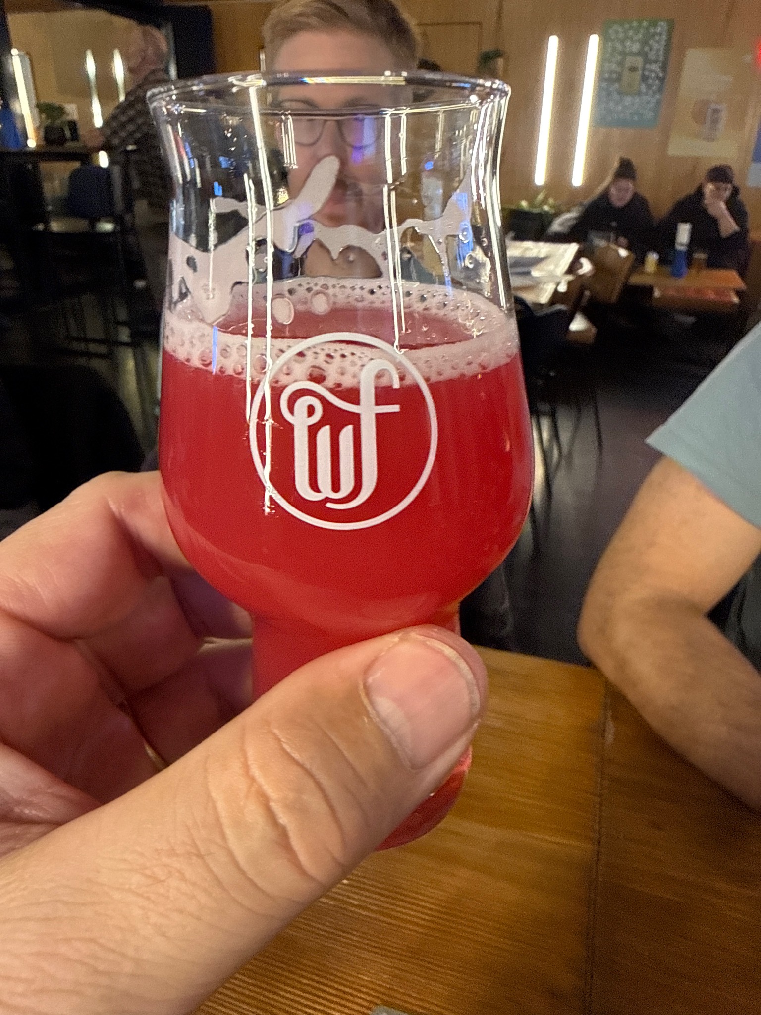 Flamingo, Switzerland