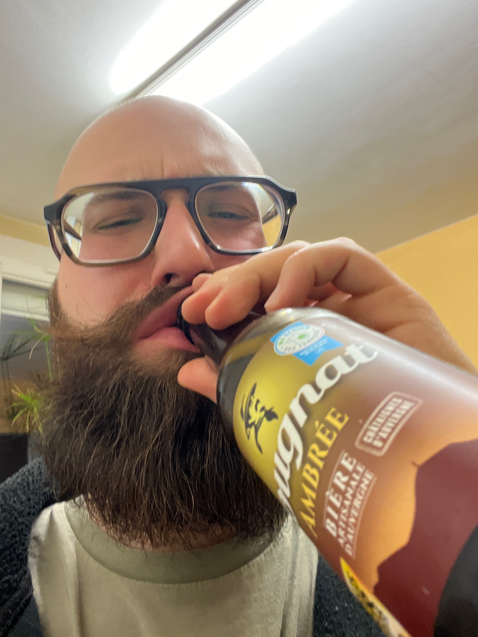 Bougnat Ambrée, France