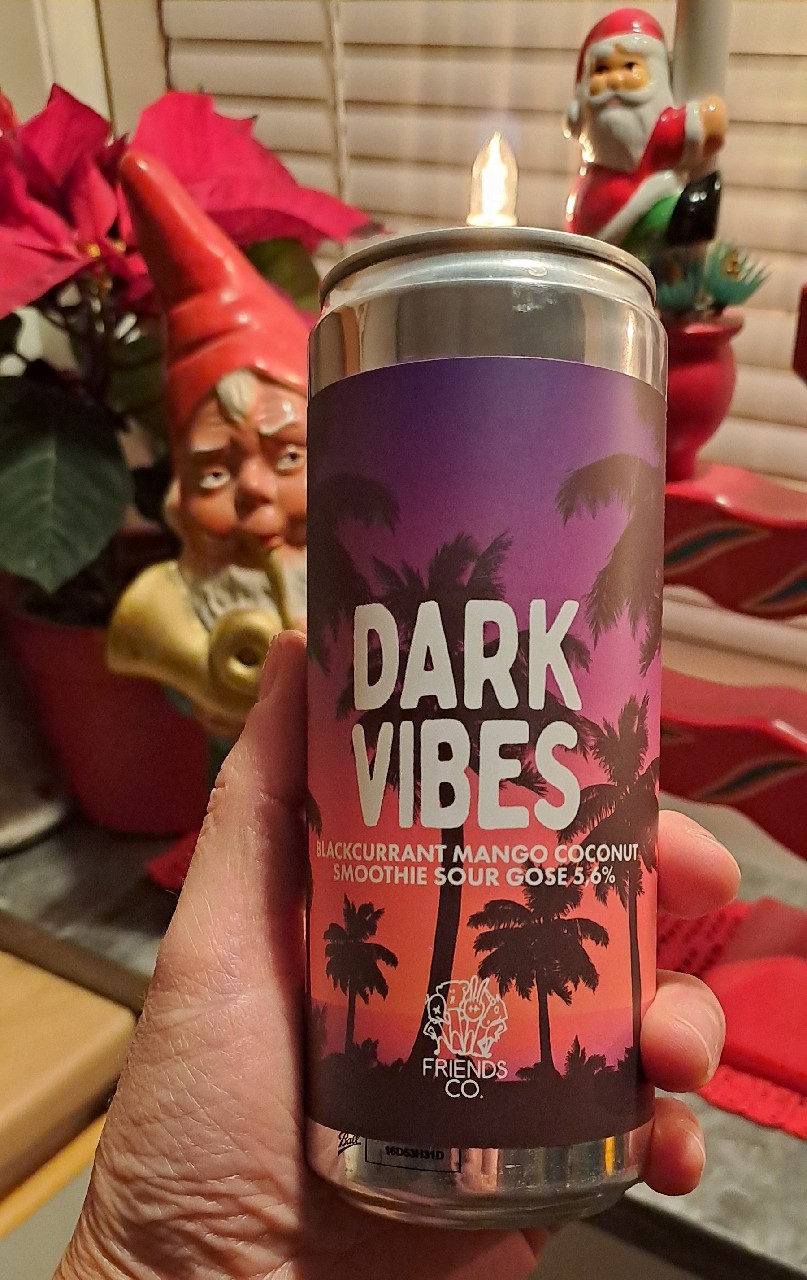 Drake Vibes, Friends Company