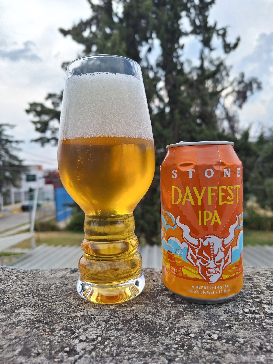 Dayfest ipa, Stone Brewing (Sapporo Breweries)