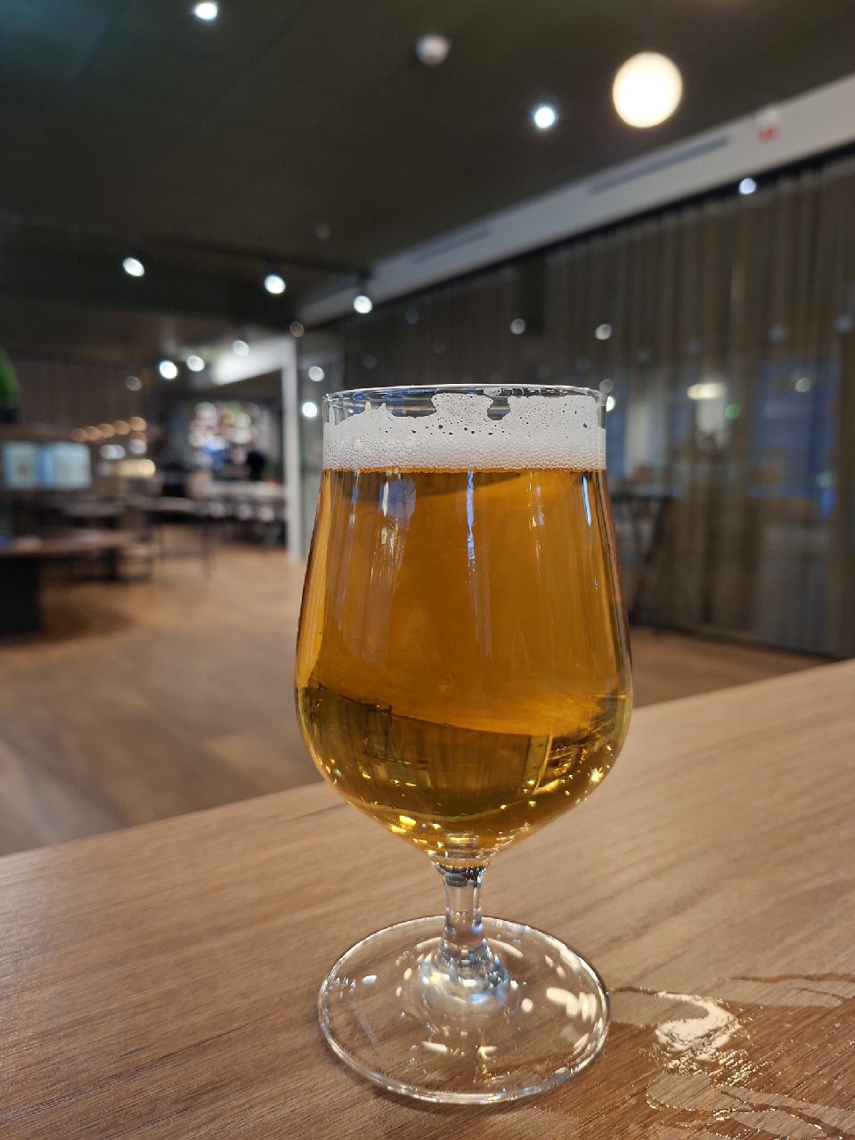Ljus Lager, S:t Eriks Bryggeri (Galatea)