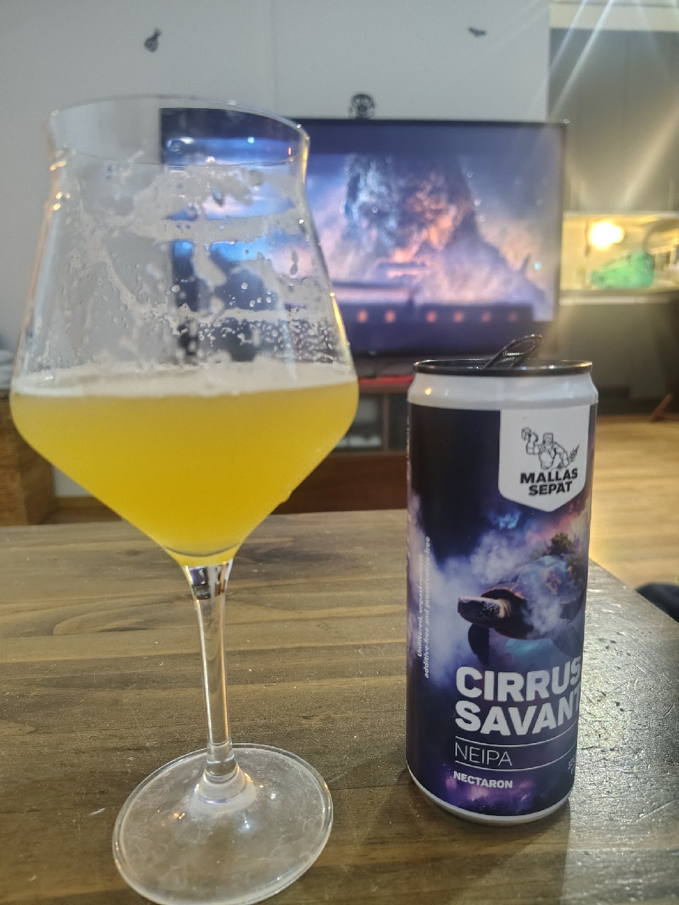 Cirrus Savant, Finland