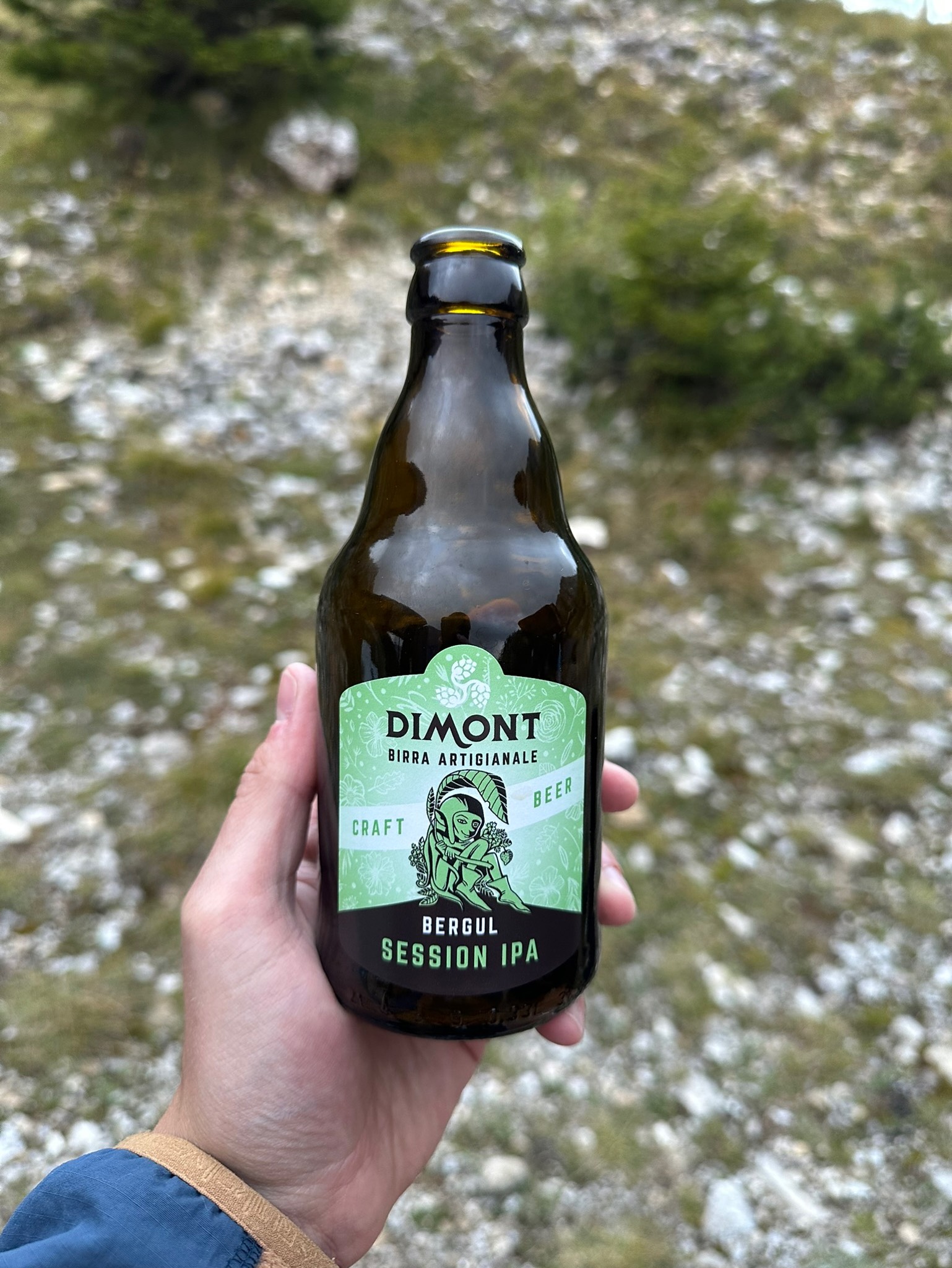 dimont, Dimont Srl Friuli Venezia