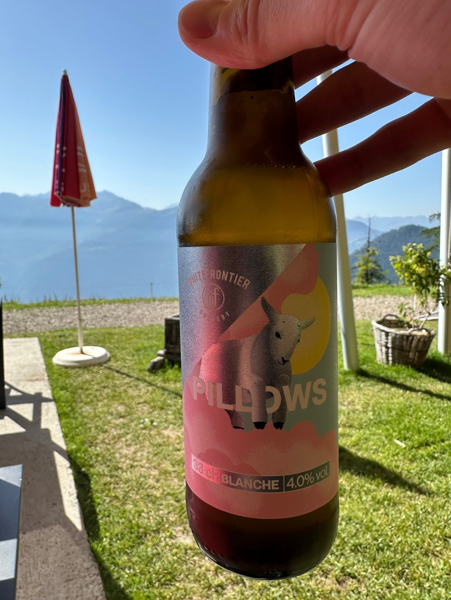 Pillows, White Frontier Brewery