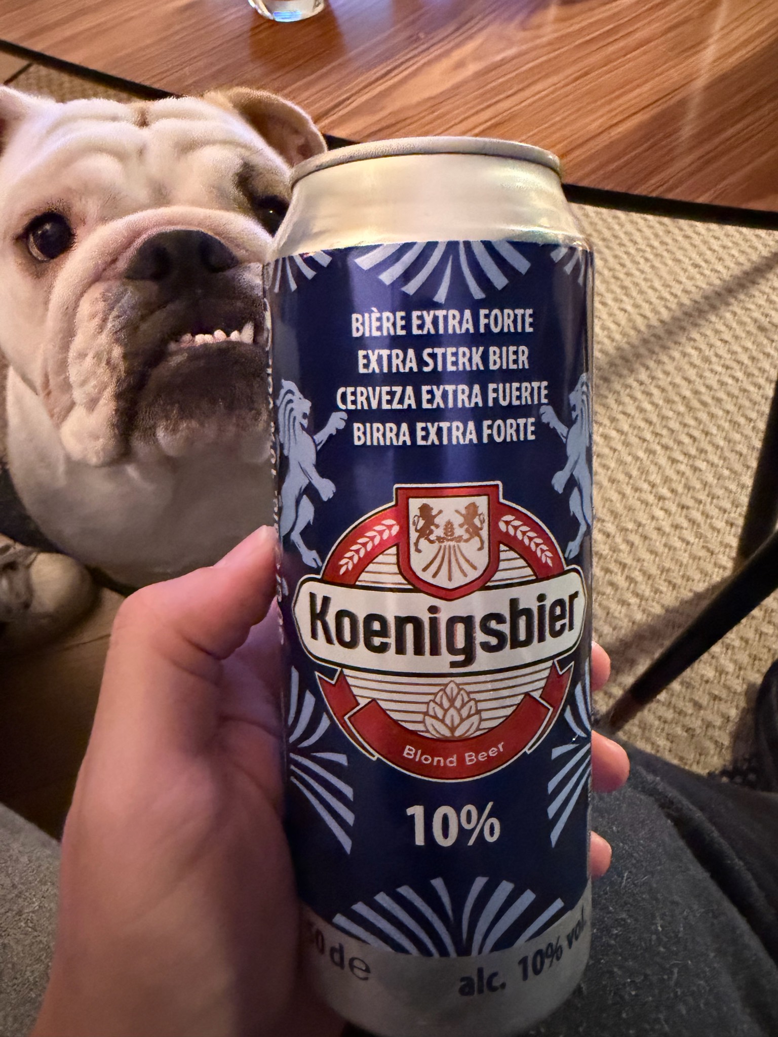 Koenigsbier Extra Forte, France