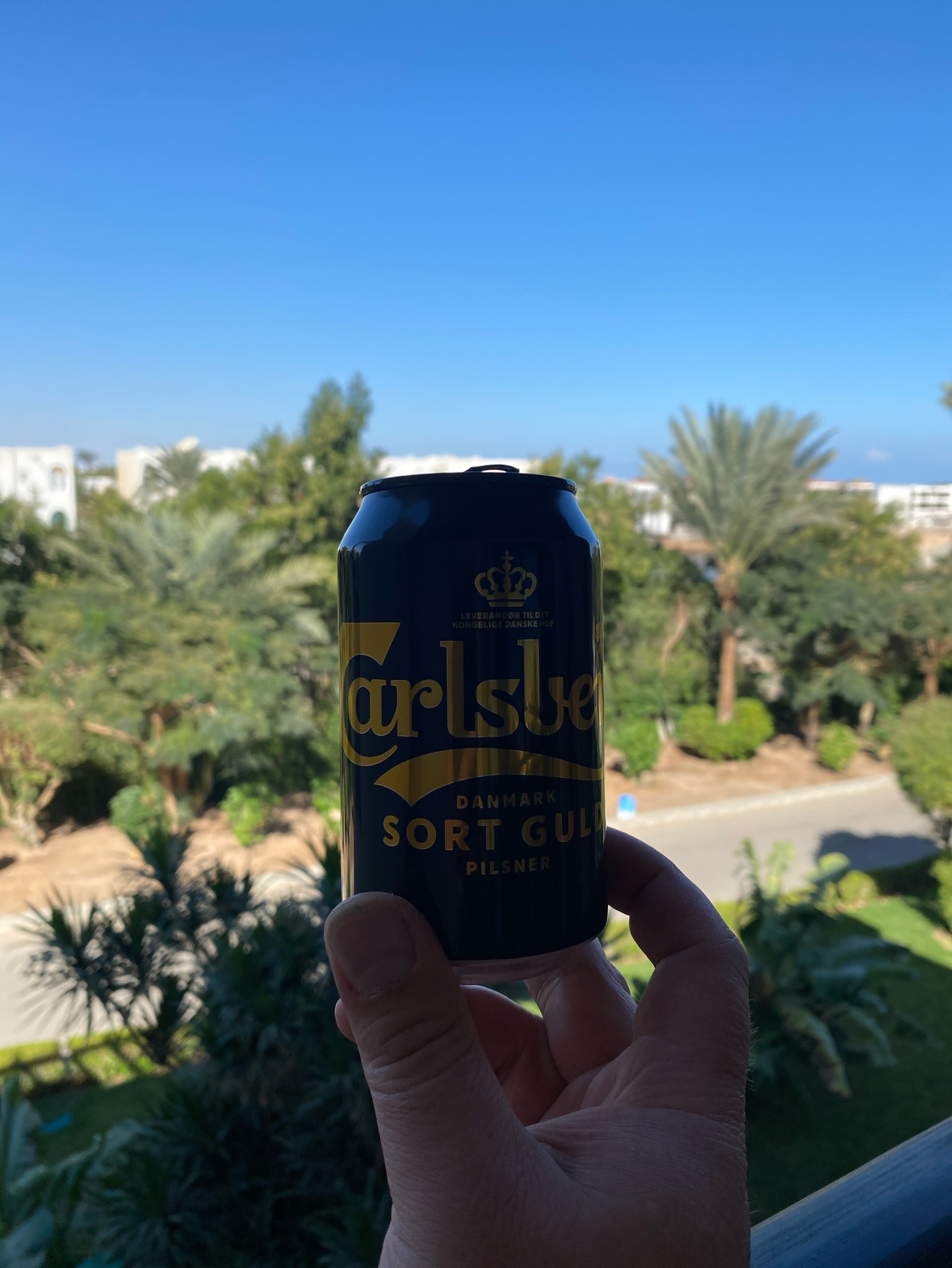 Carlsberg Black Gold / Sort Guld, Carlsberg Group