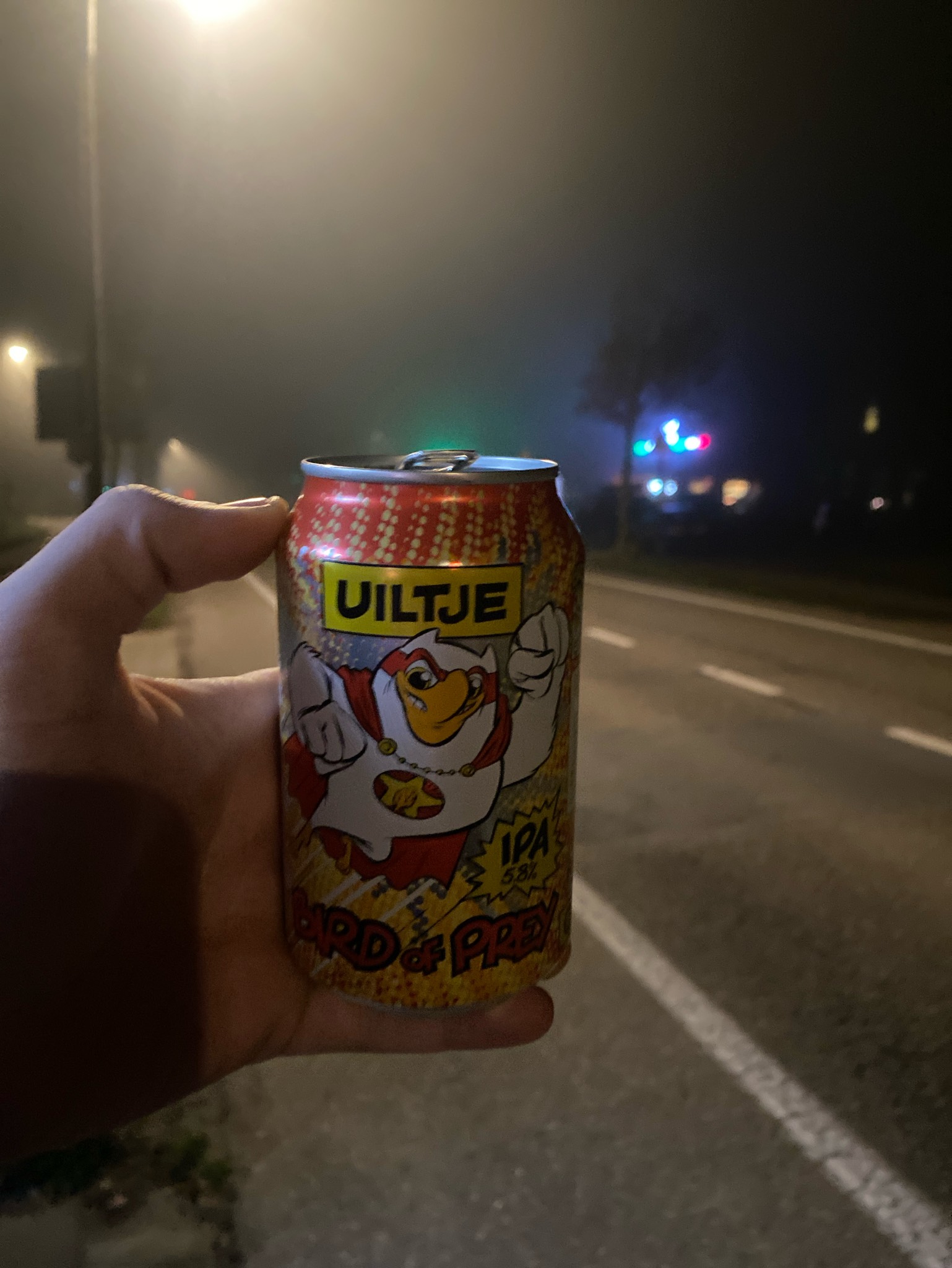 Bird Of Prey, Netherlands