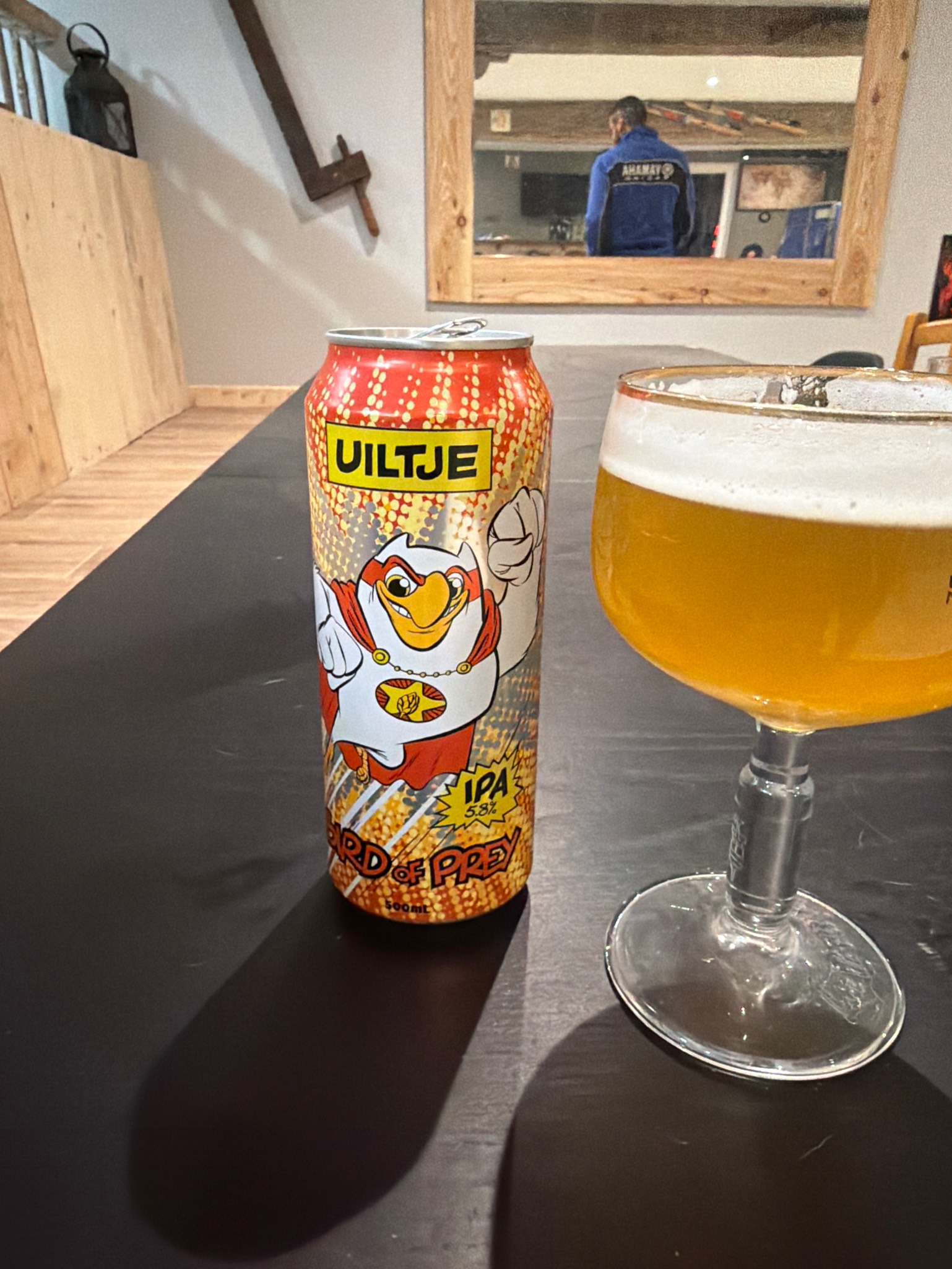 Bird Of Prey, Netherlands