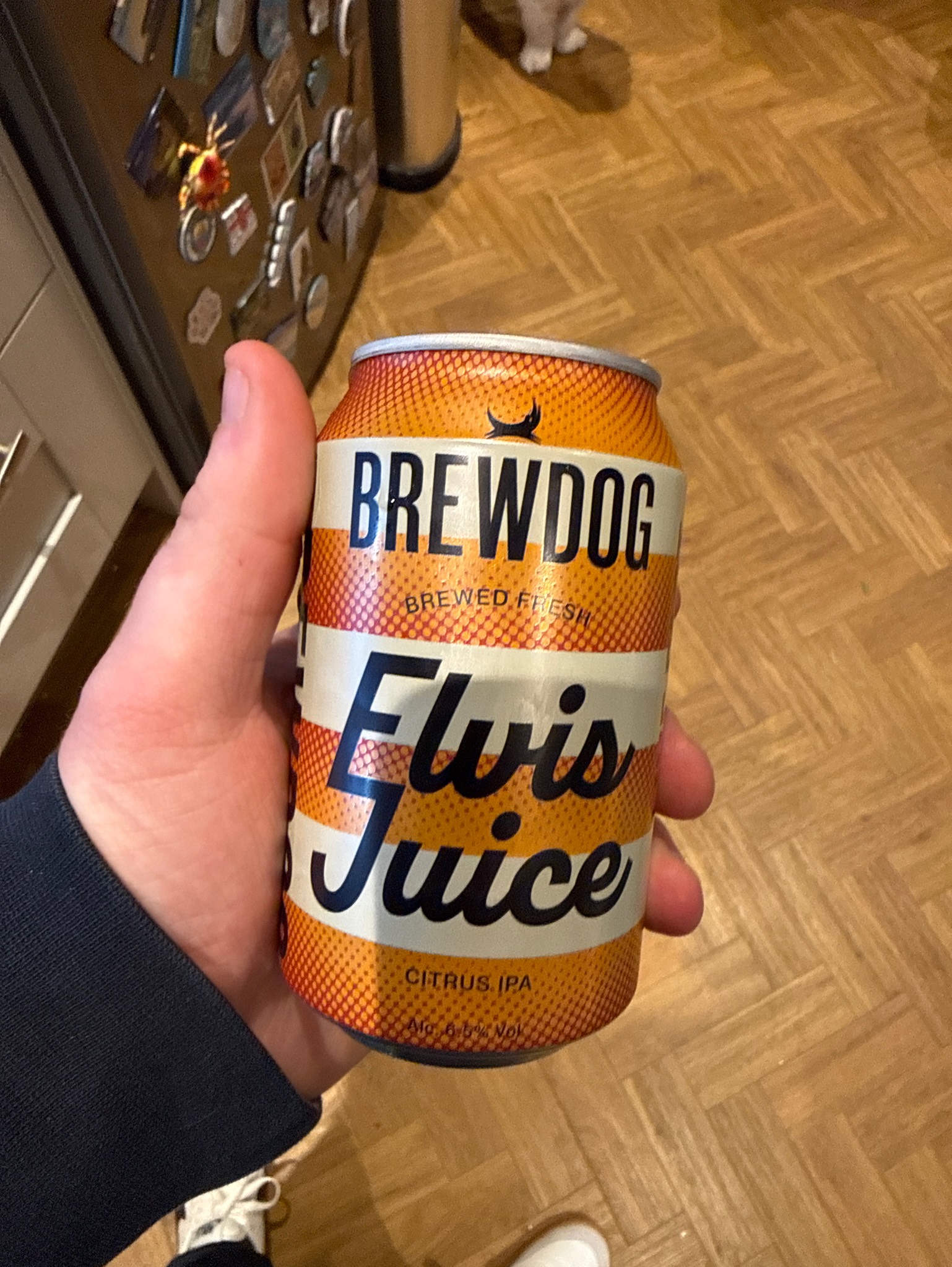 Elvis Juice, Scotland