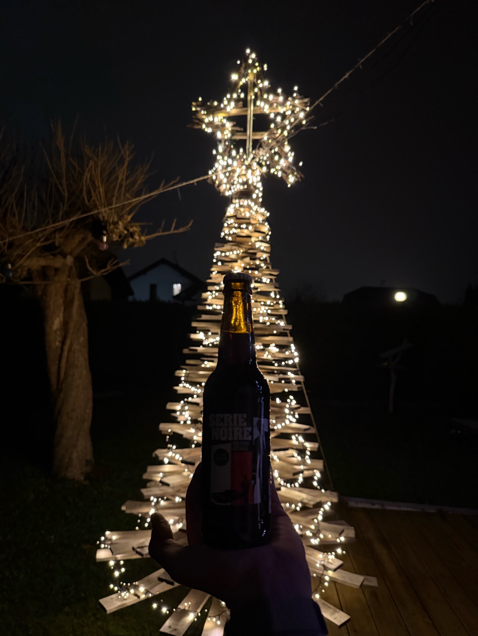 Série Noire, France