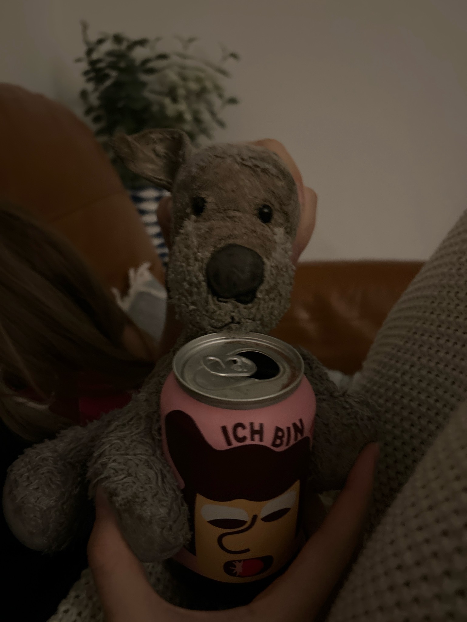 Ich Bin Raspberry, Denmark